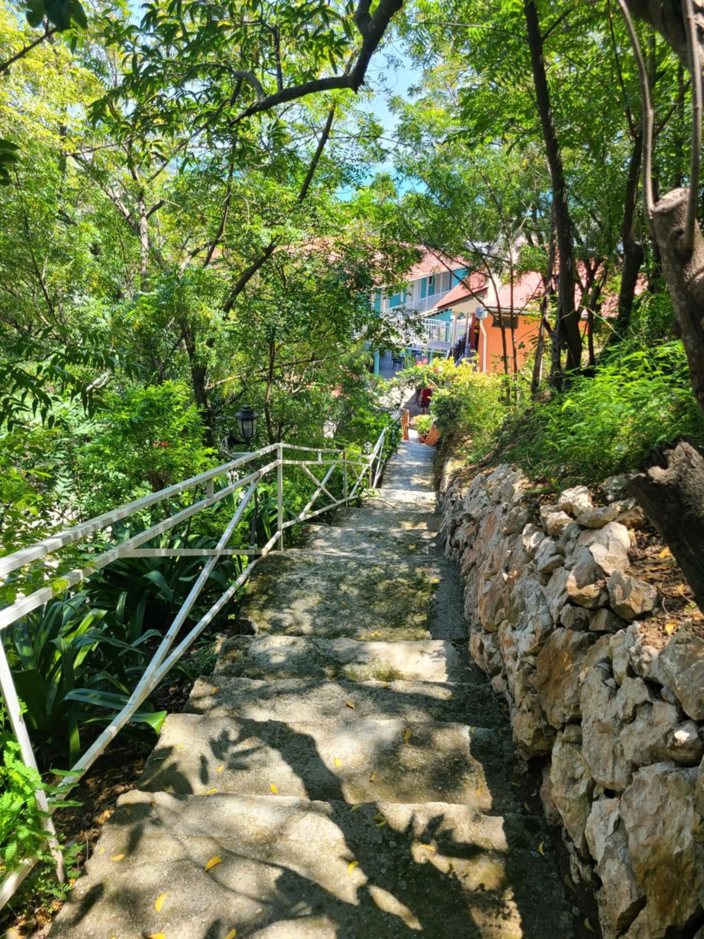 Habitation Des Lauriers