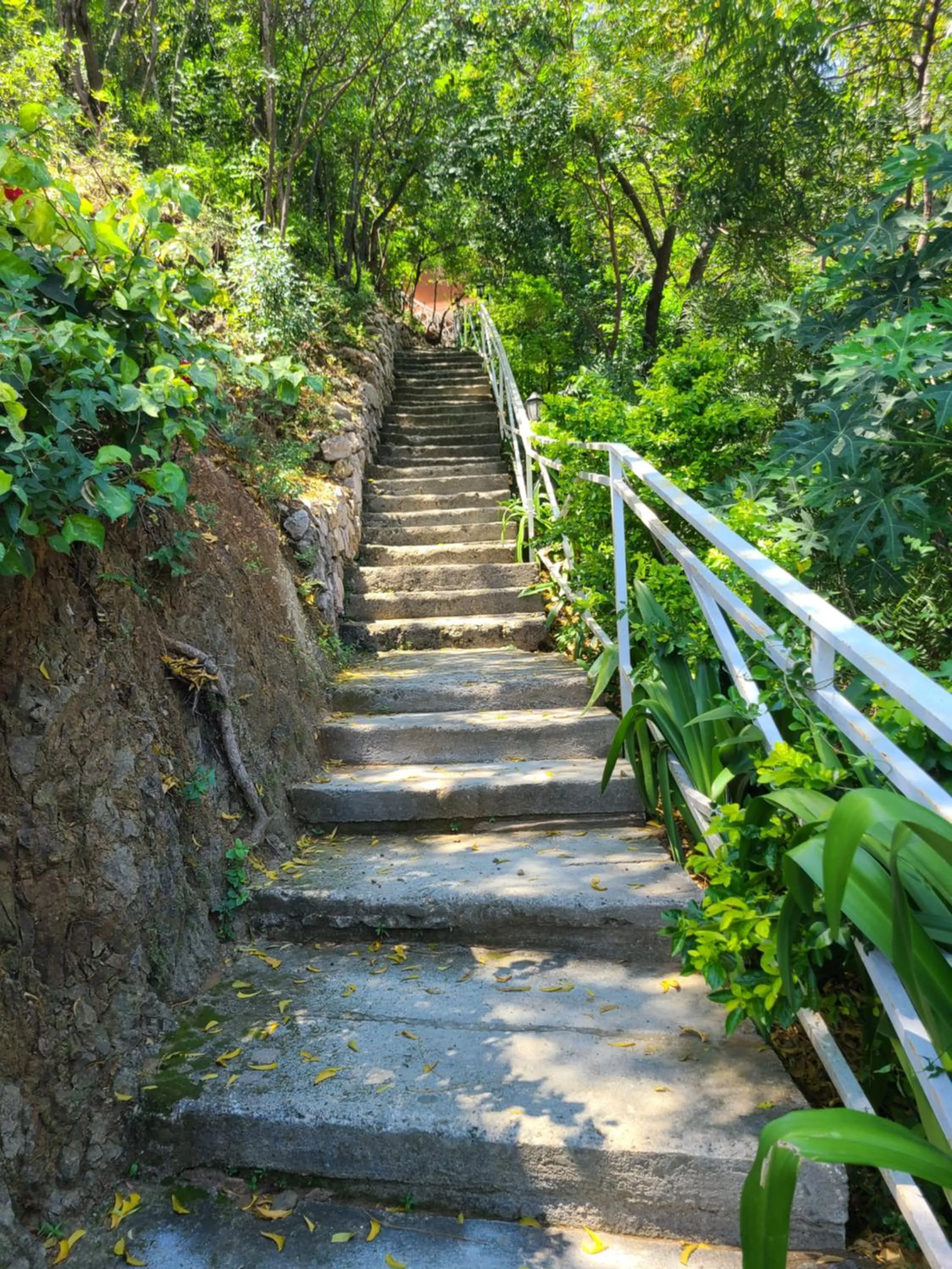 Habitation Des Lauriers