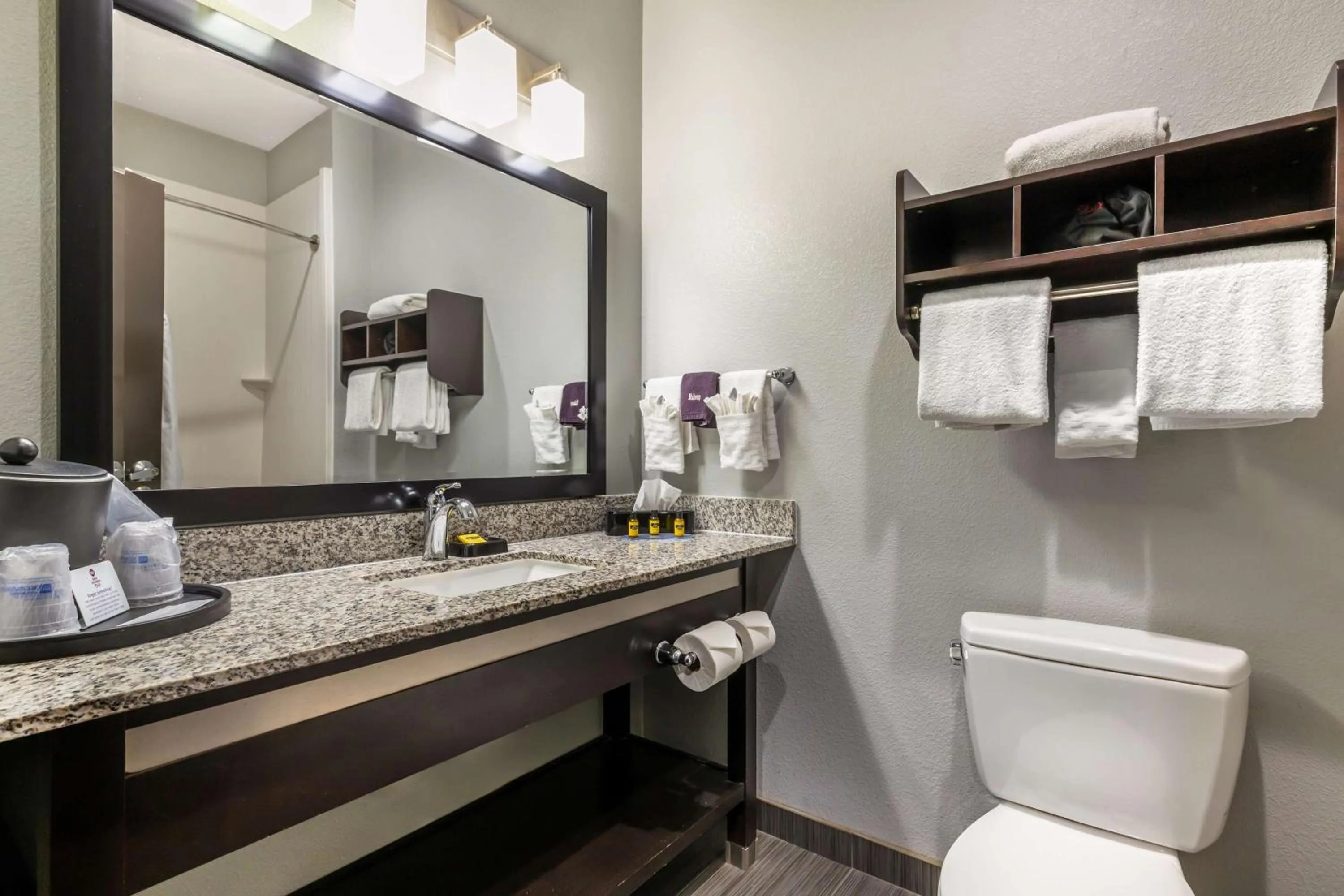 Bathroom in Best Western Plus Coweta's 1st Hotel
