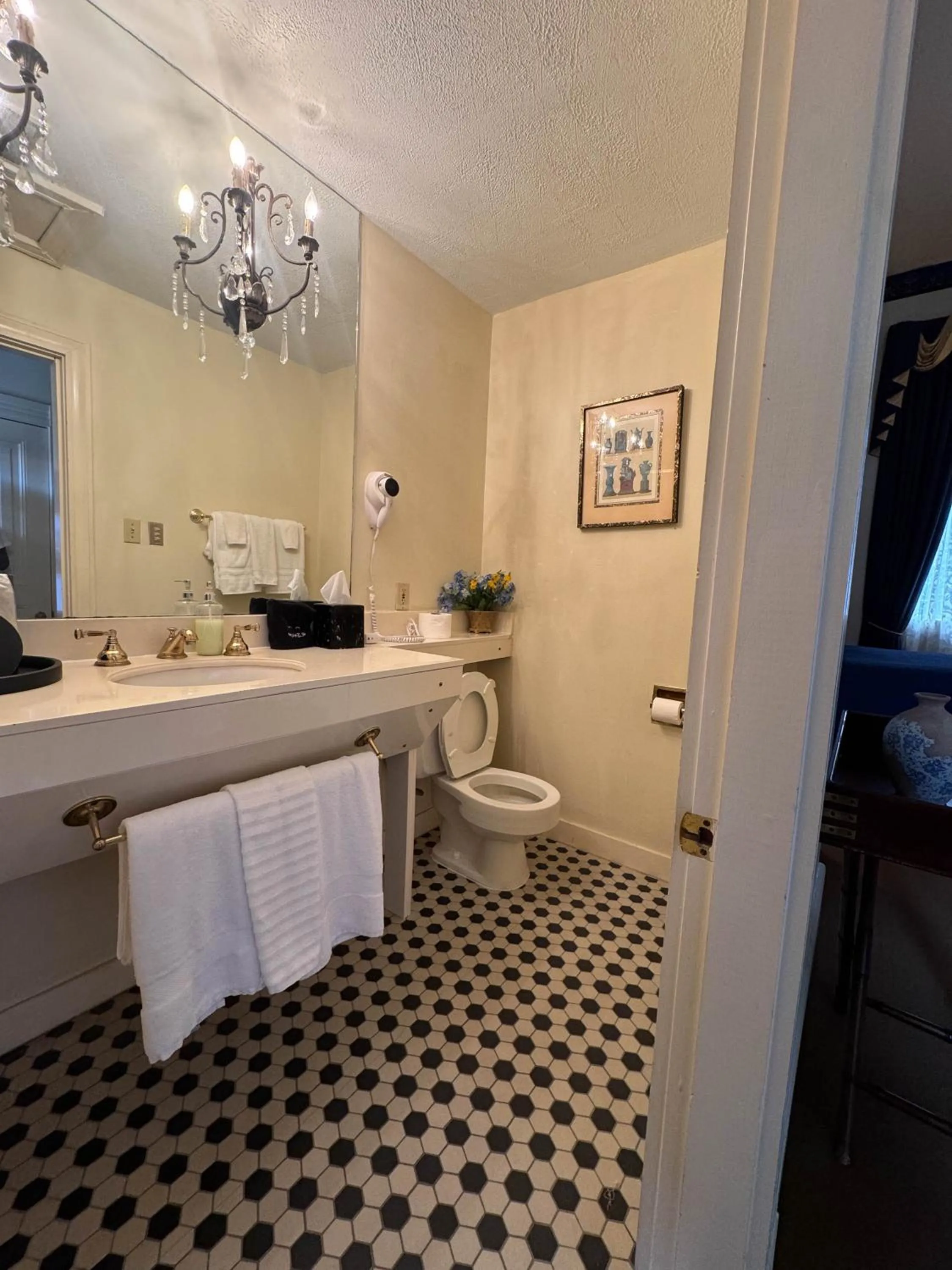 Bathroom in The Guest House Historic Mansion