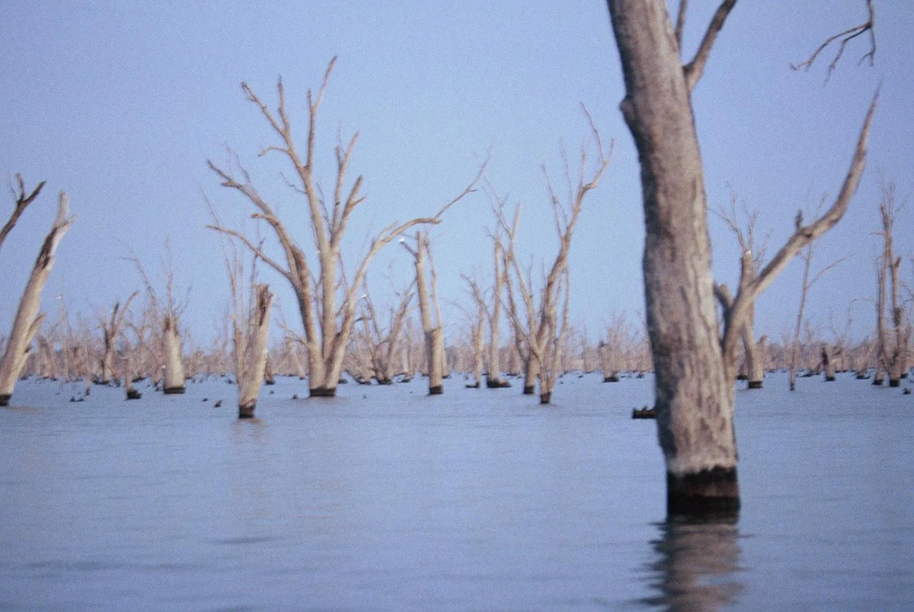 Natural landscape in The Yarrawonga Hotel