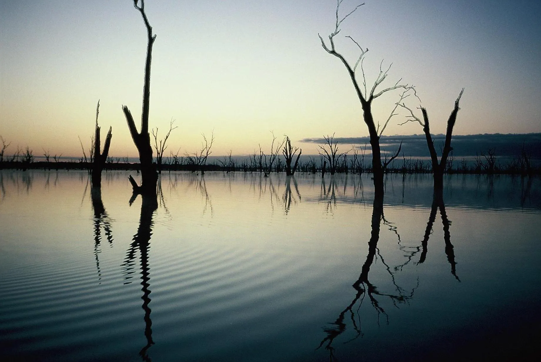 Natural landscape in The Yarrawonga Hotel