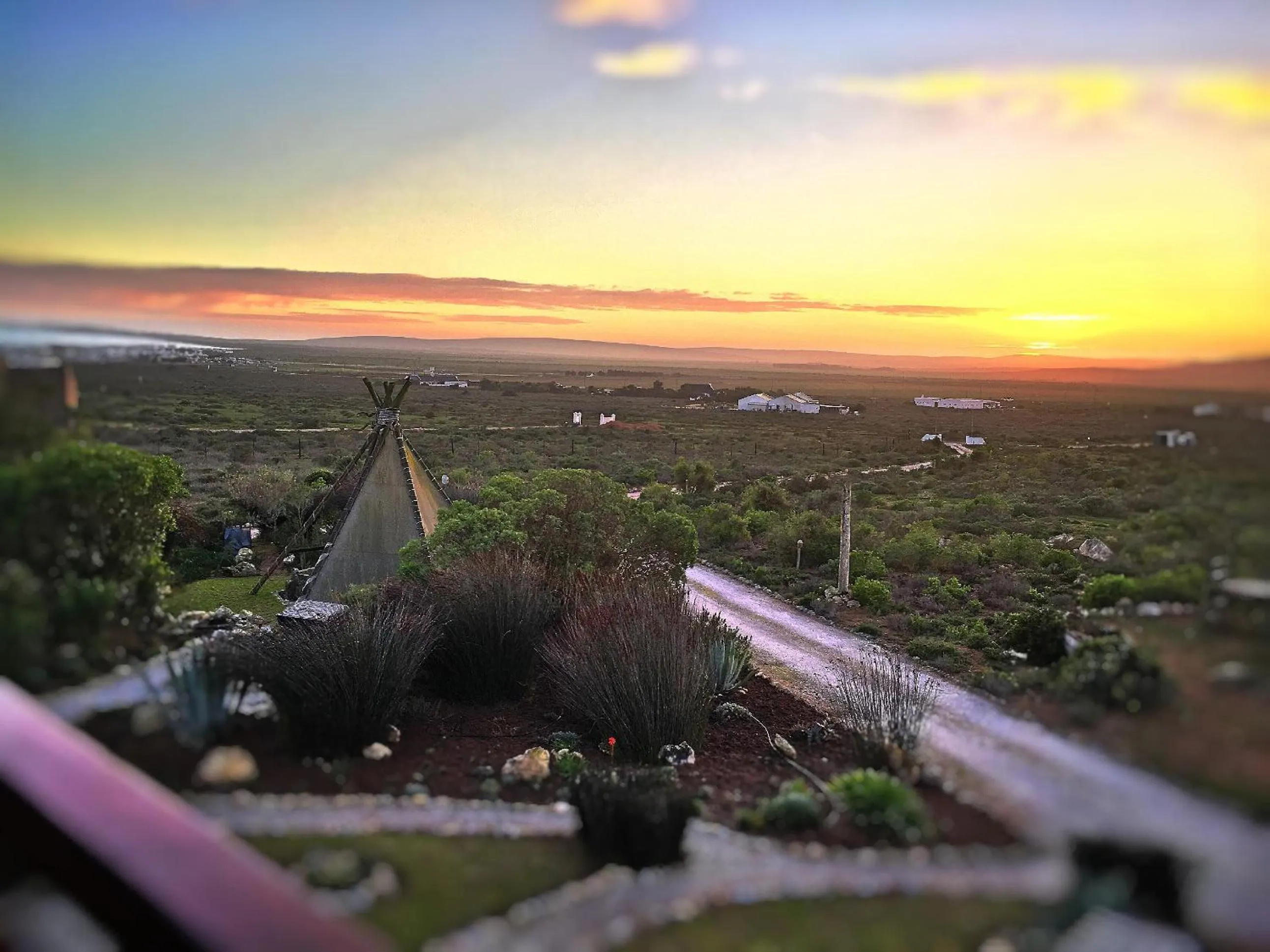 Garden view in Farr Out Guest House