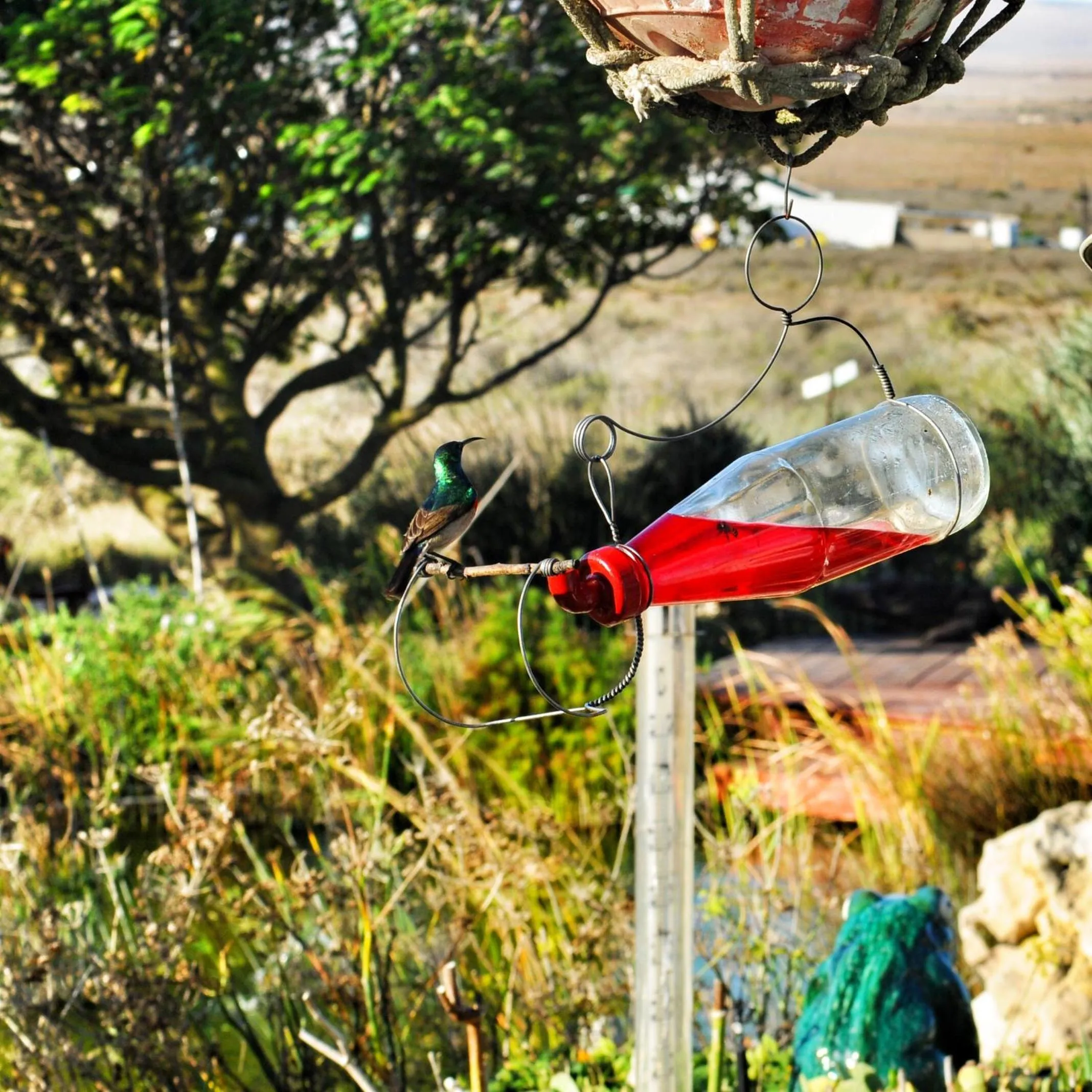 Day in Farr Out Guest House