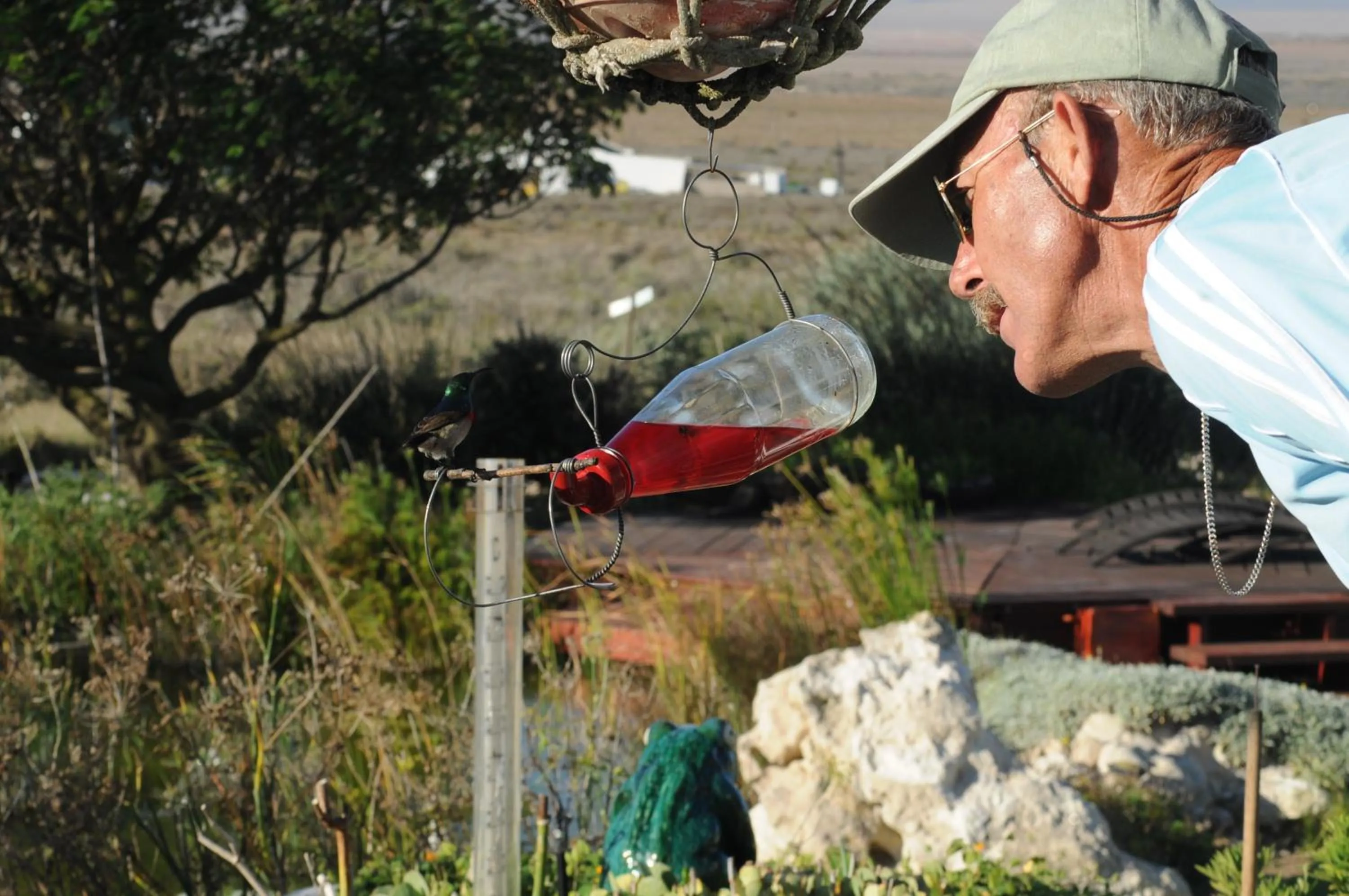 Garden in Farr Out Guest House