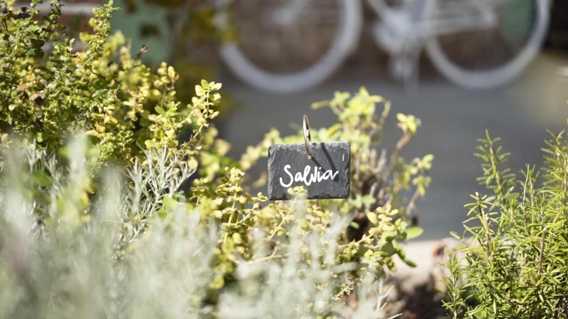 Decorative detail in Lange