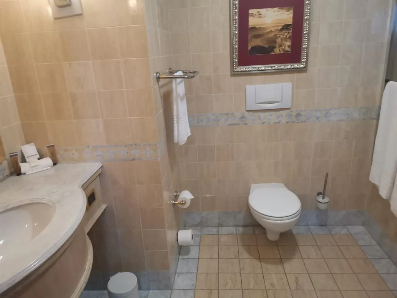 Toilet in Walmont at Graceland