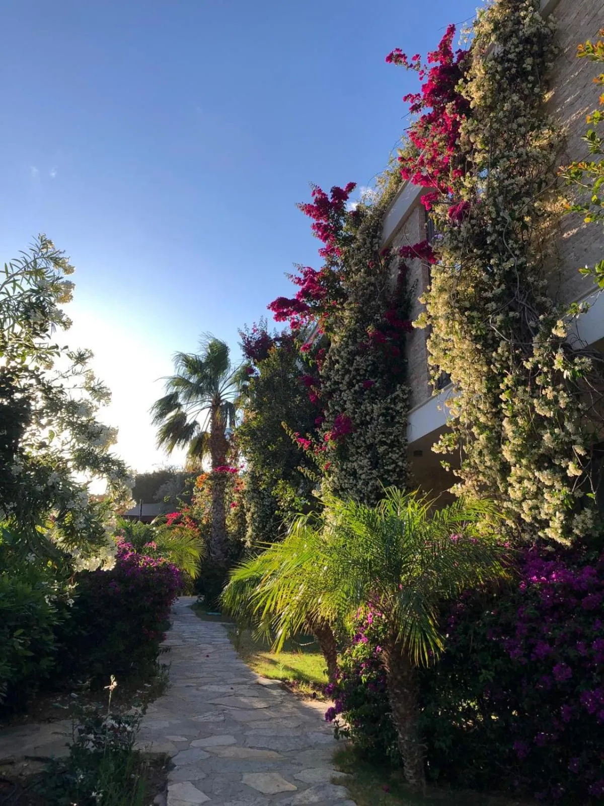 Property building in Spektr Boutique Hotel Yalikavak