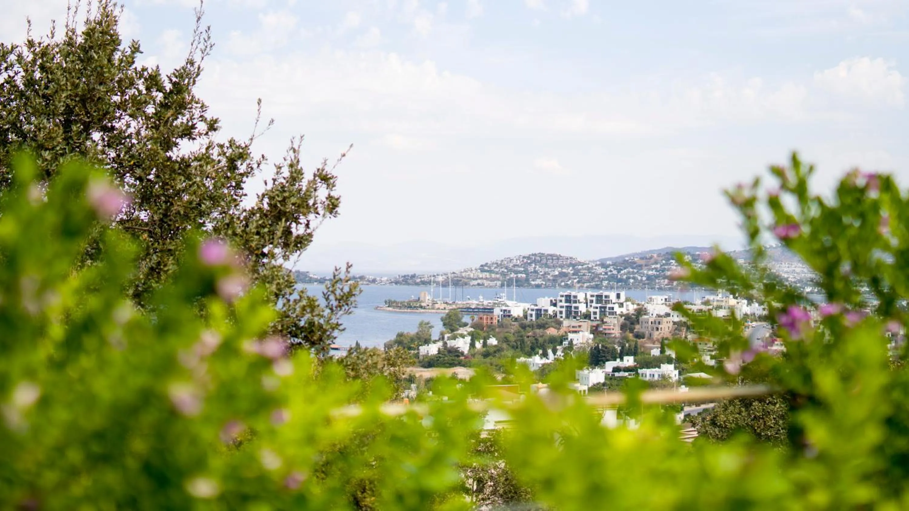 Day in Spektr Boutique Hotel Yalikavak