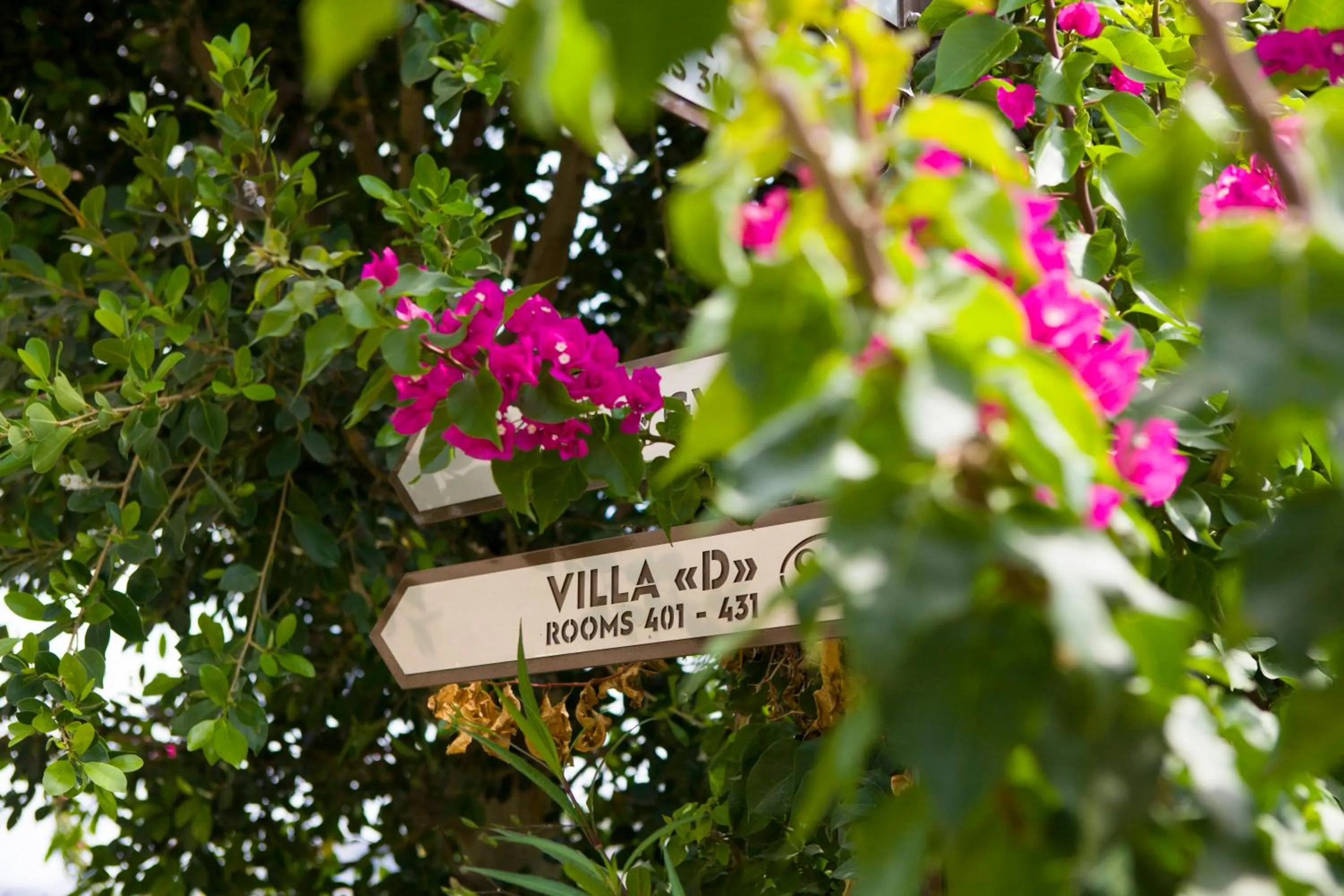 Day in Spektr Boutique Hotel Yalikavak