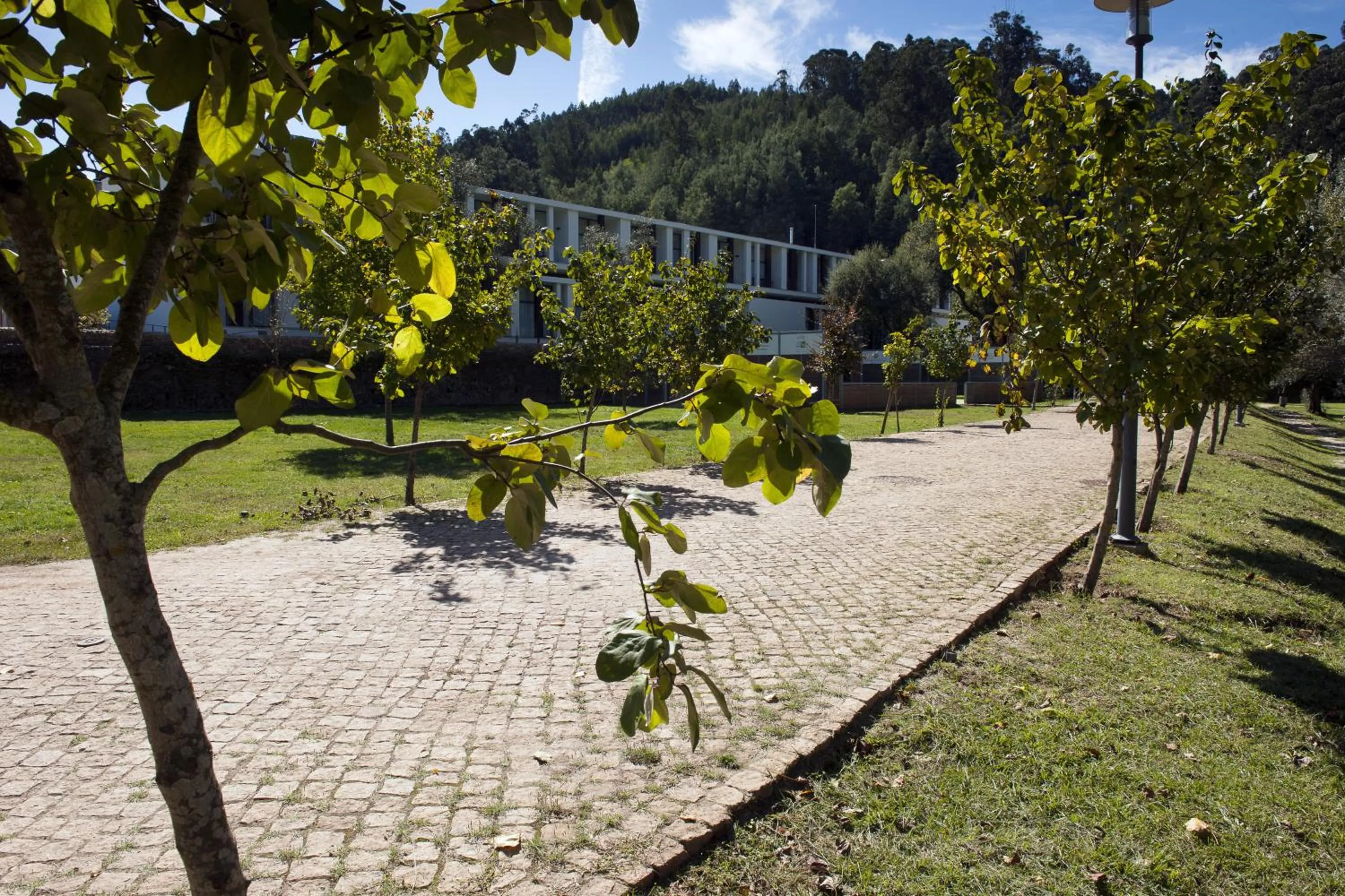 Off site in Hotel Parque Serra da Lousã