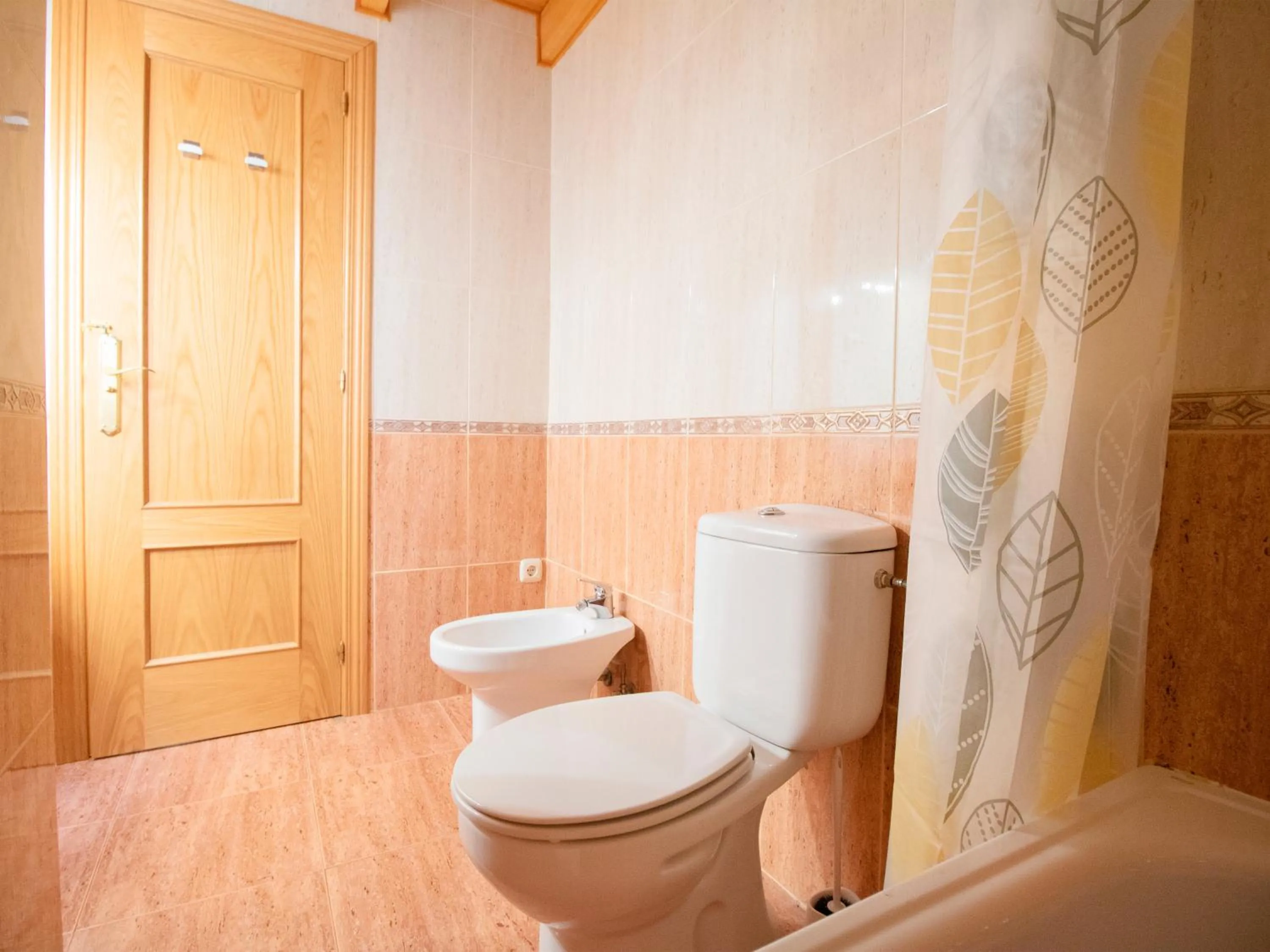 Toilet in Apartamentos Canfranc 3000