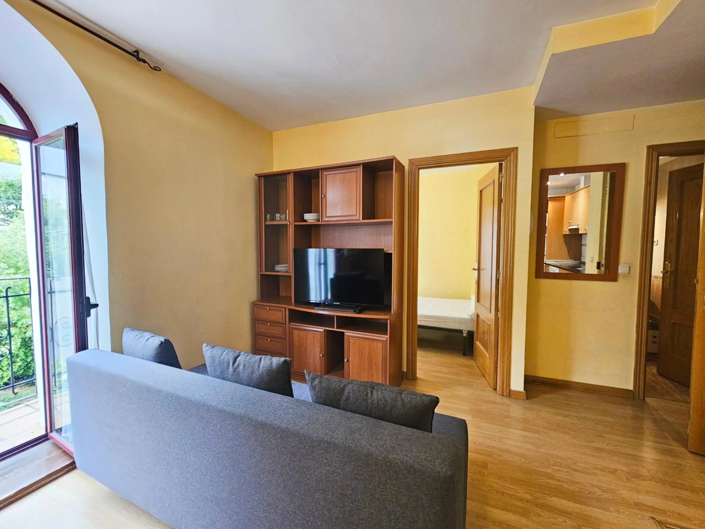 TV and multimedia in Apartamentos Canfranc 3000