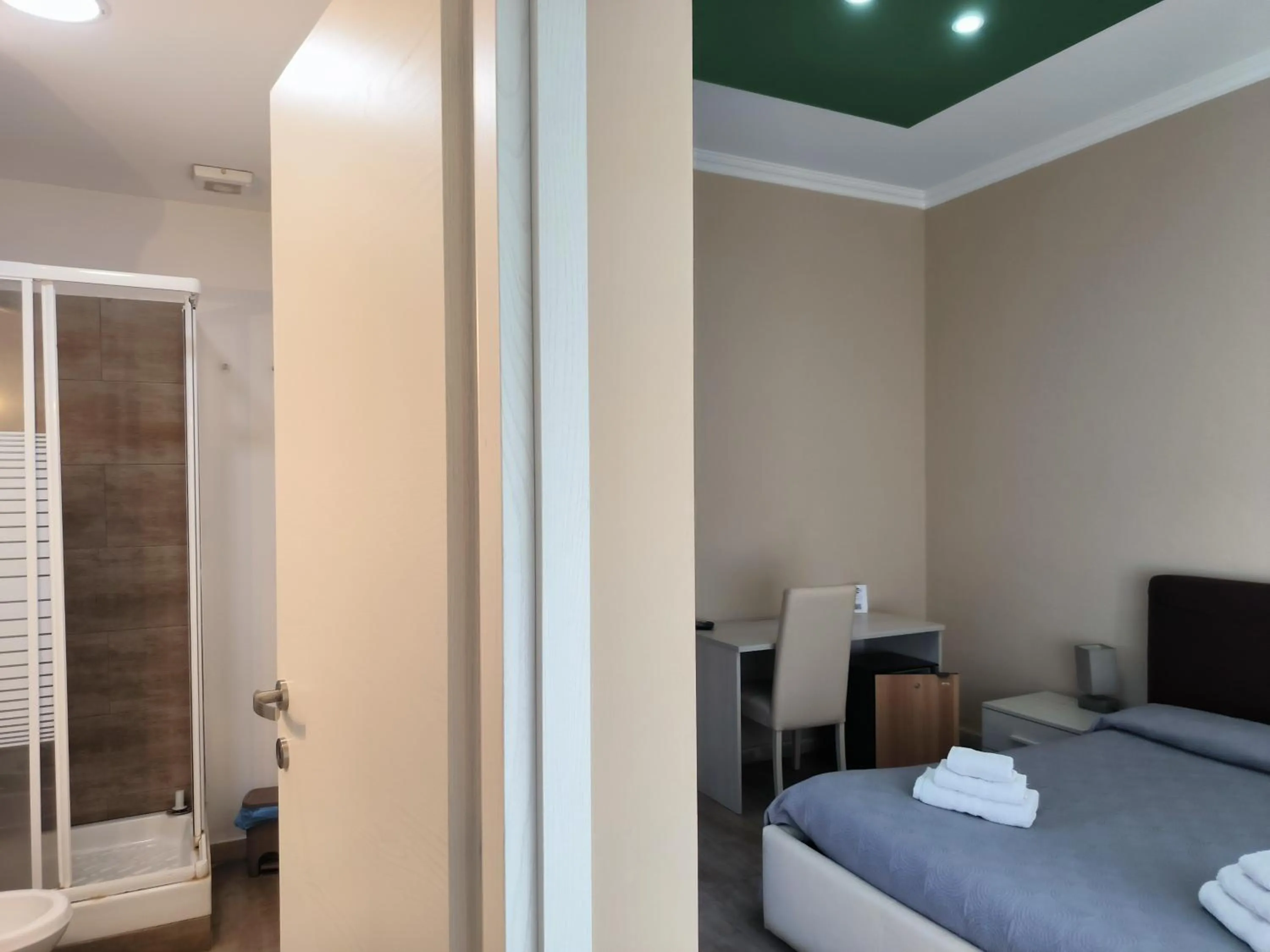 Shower in Prestige B&B