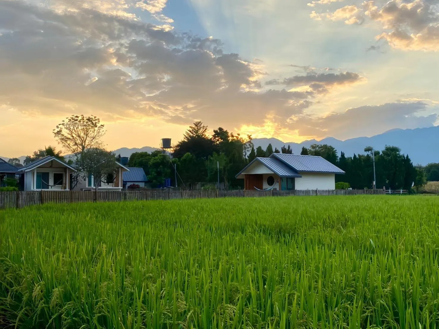 Property building in Pai Nam Now