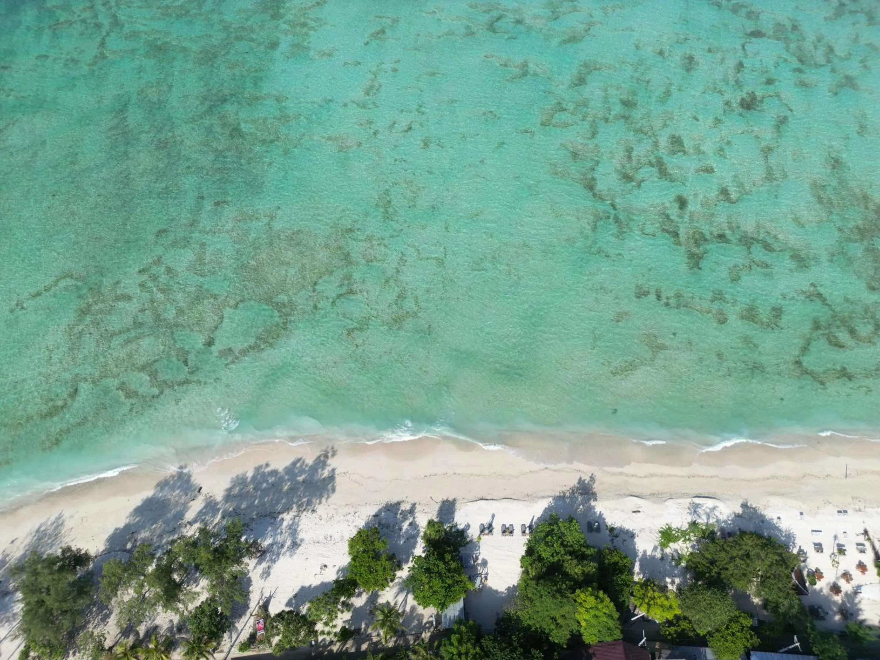 Bird's eye view in Mowies On The Beach