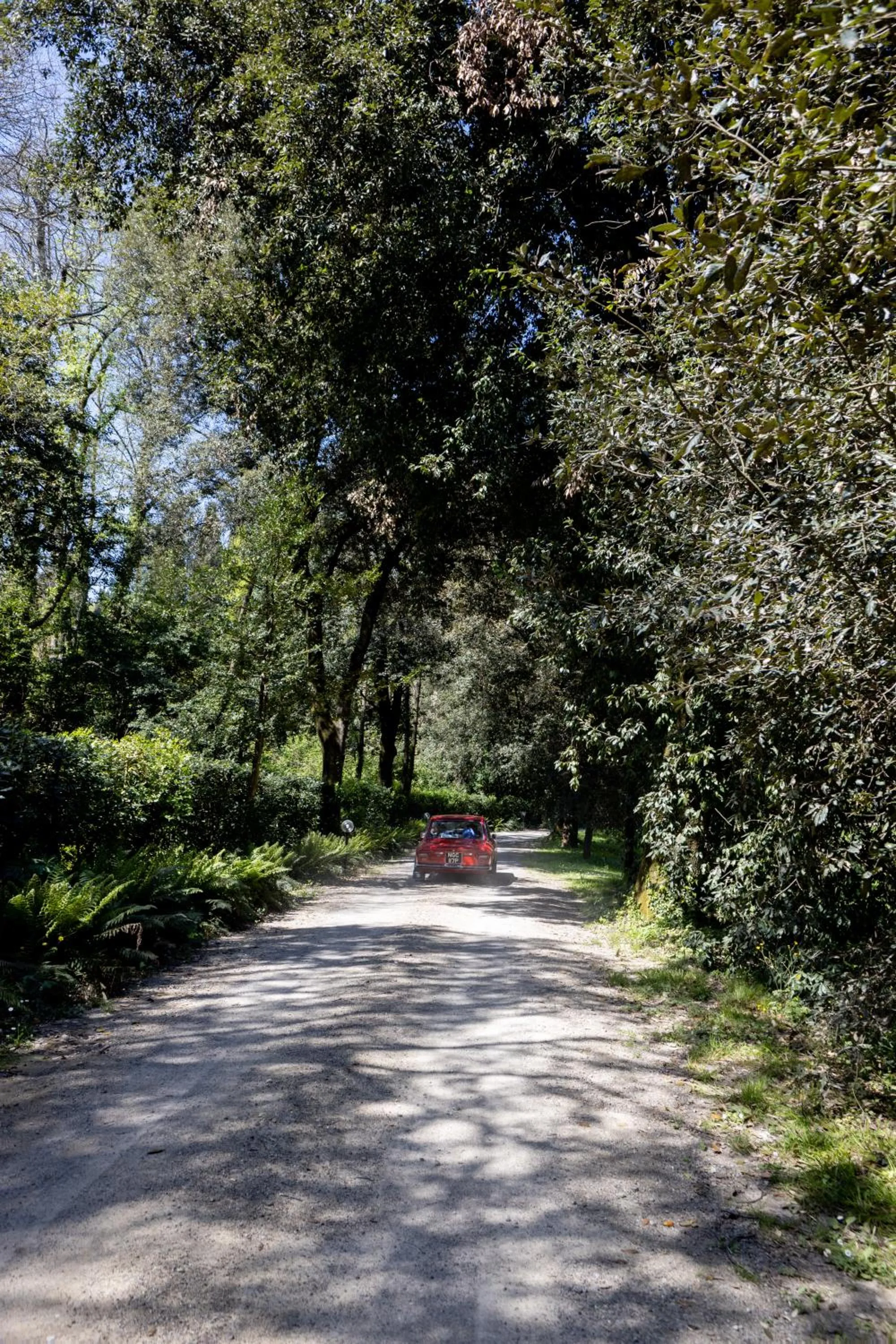 Natural landscape in Il Casale Di Villa Rossi