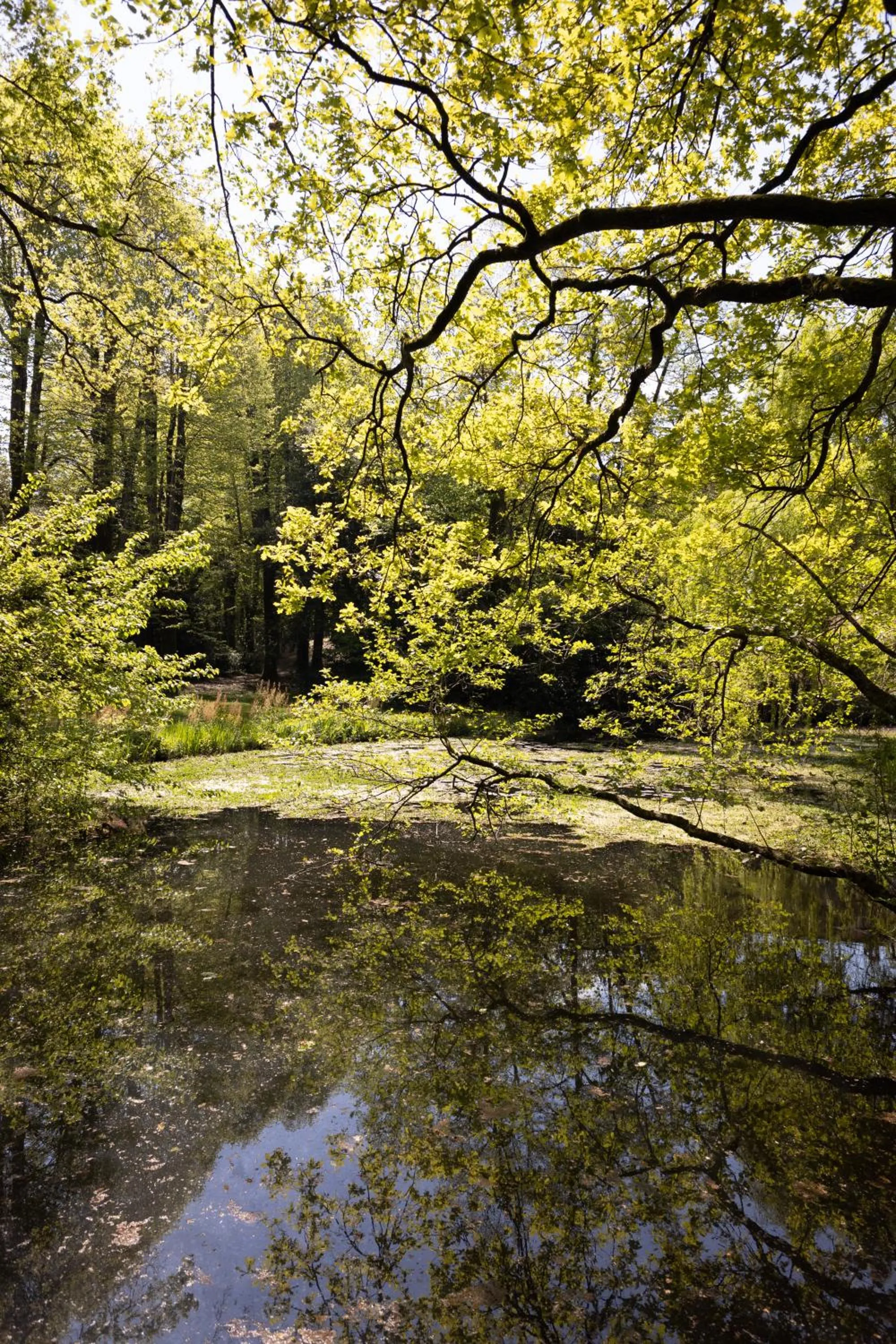 Natural landscape in Il Casale Di Villa Rossi