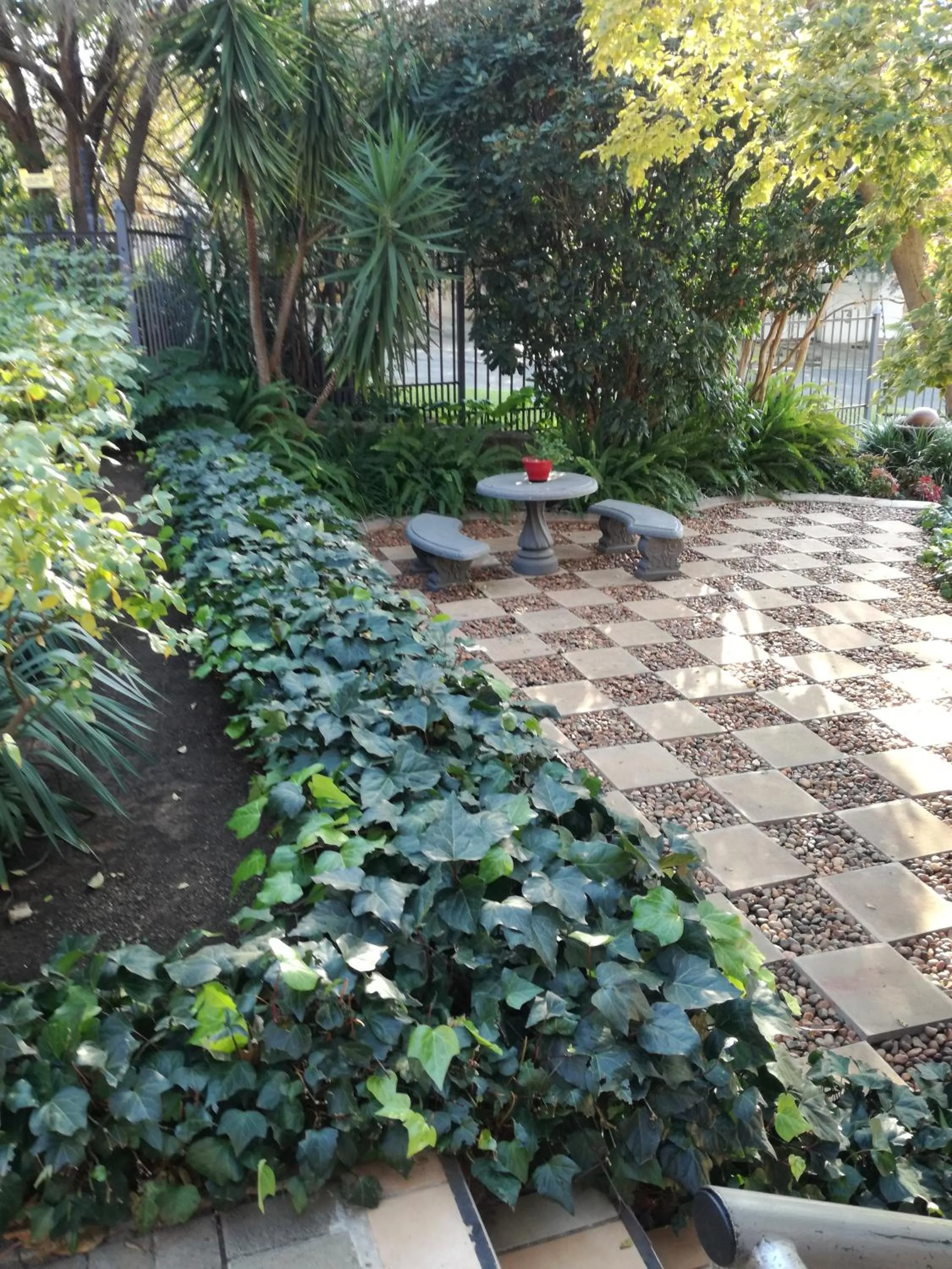 Garden in Belmont Guesthouse