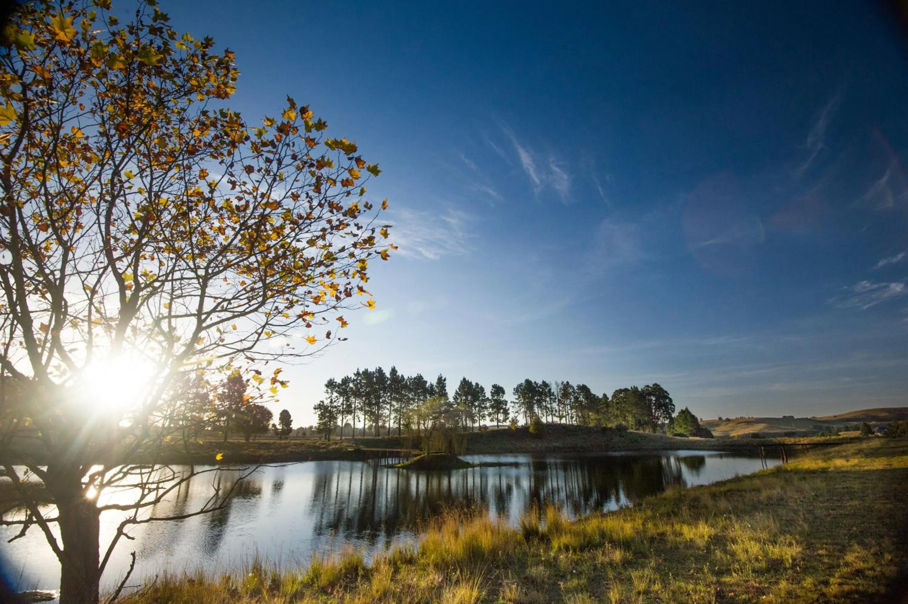 Day in The FarSide Country Manor