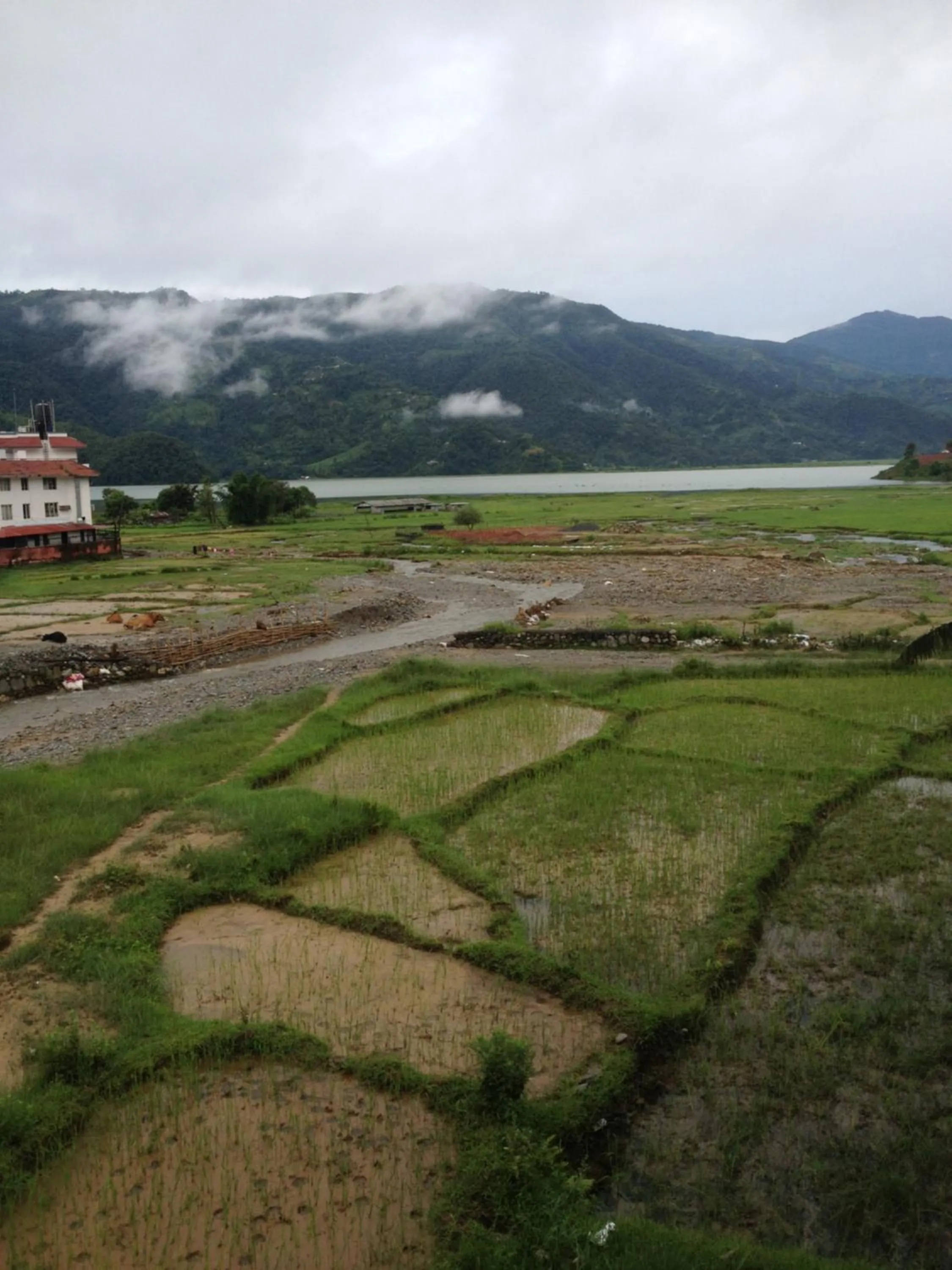 On site in Bishnu Homestay