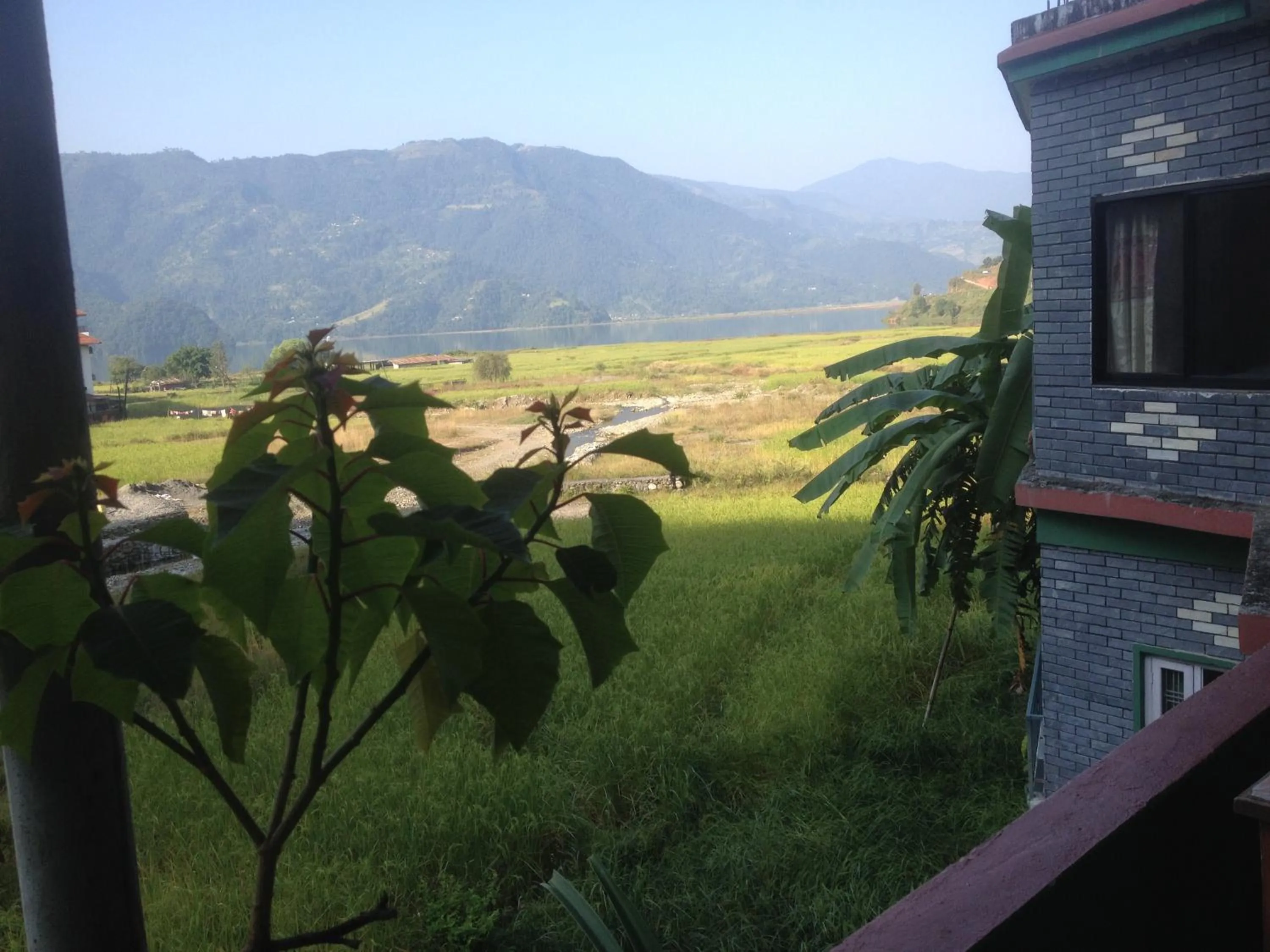 Bird's eye view in Bishnu Homestay