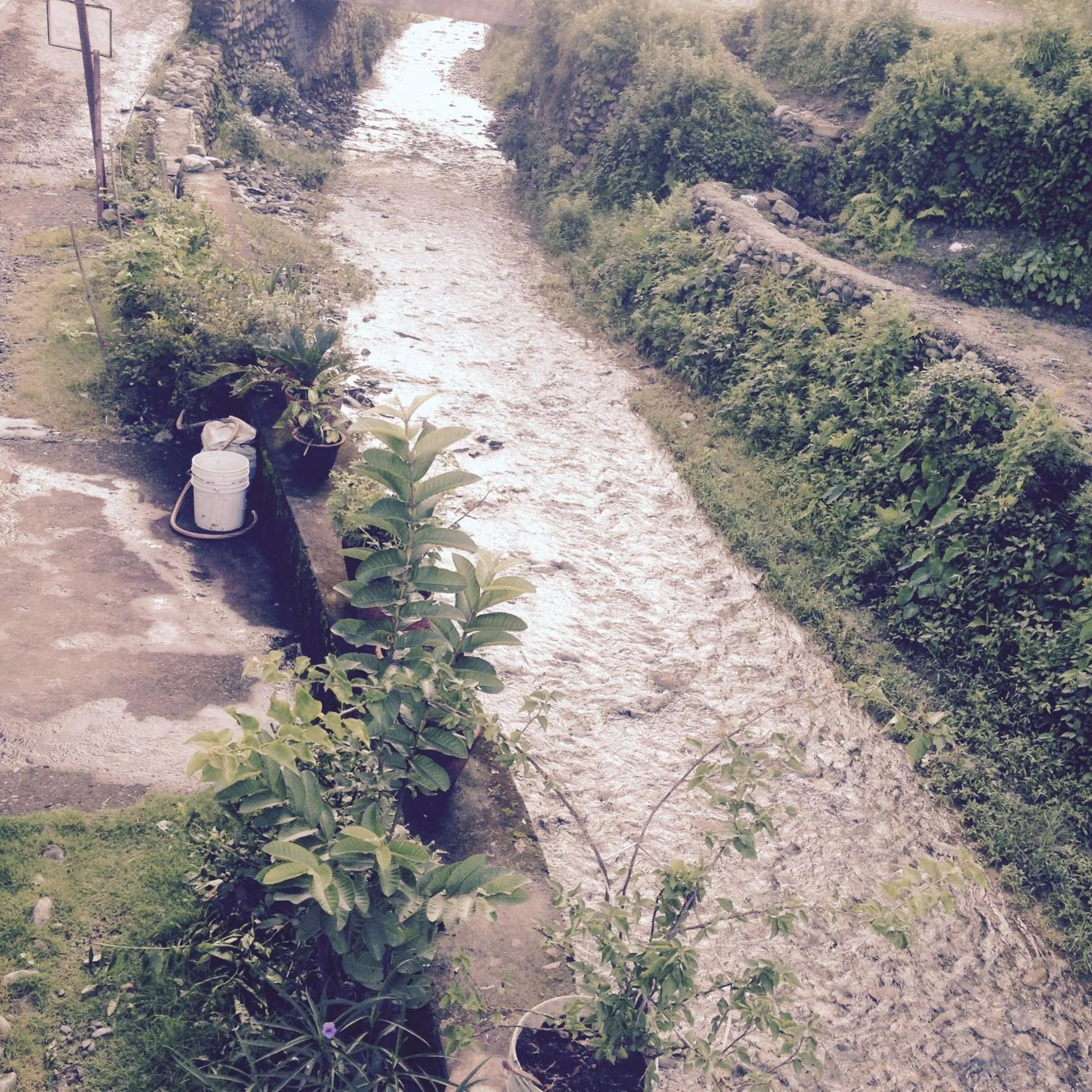 Natural landscape in Bishnu Homestay