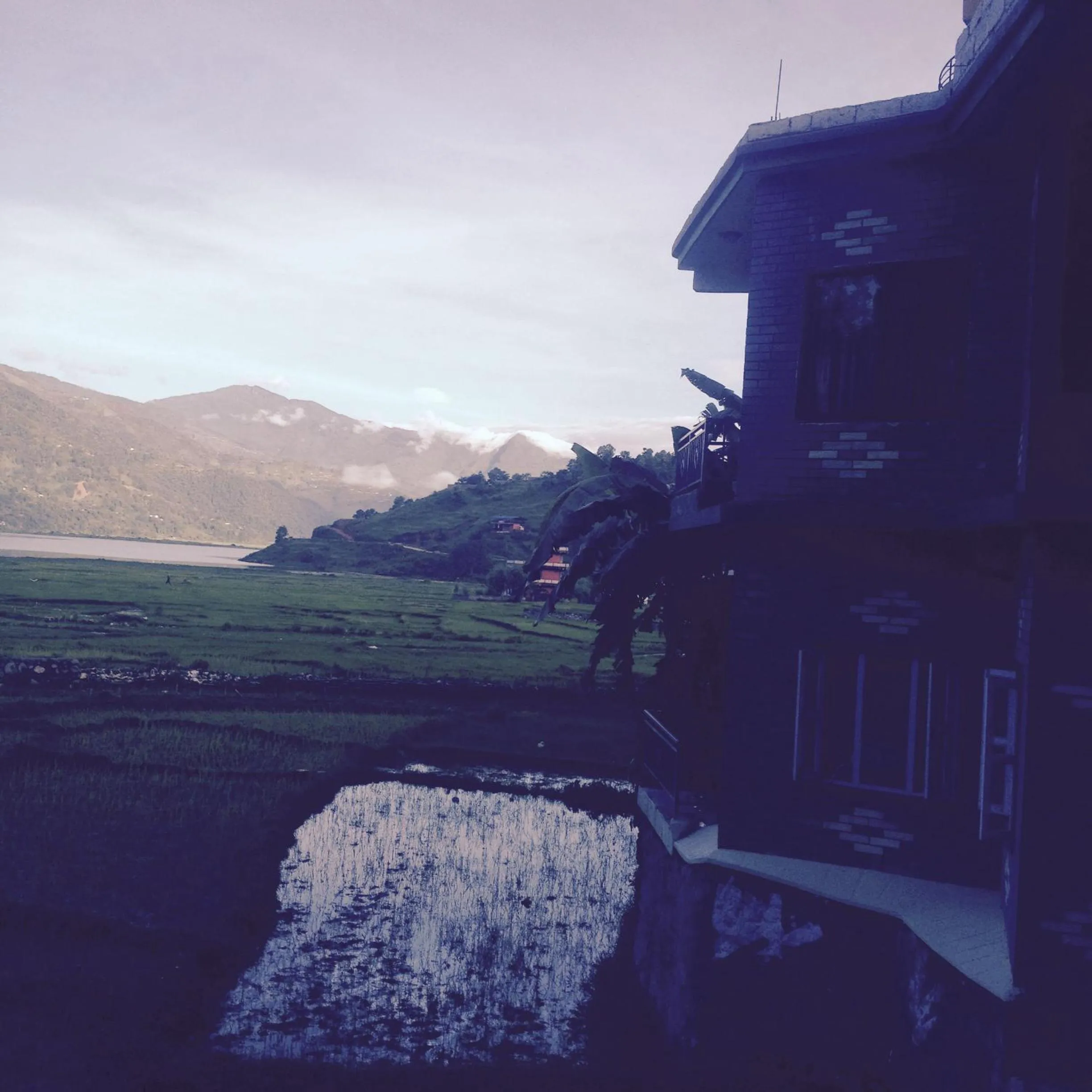 Bird's eye view in Bishnu Homestay