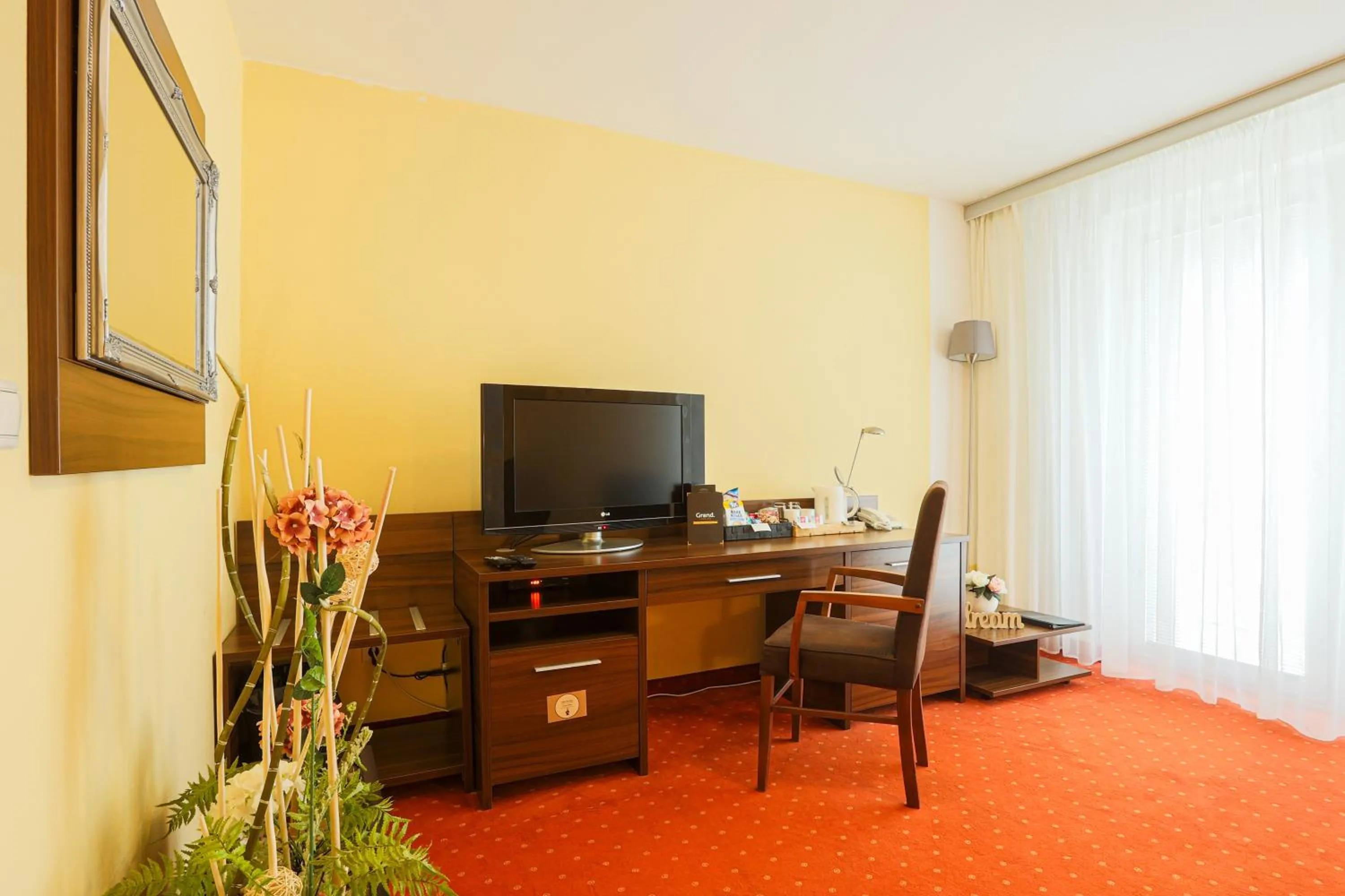 TV and multimedia in Grand Hotel Senica, Garni
