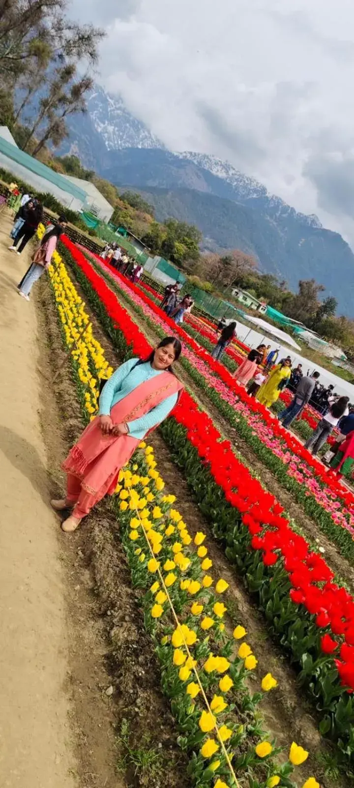 Barot Waterfall Camps Barot Waterfall Camps