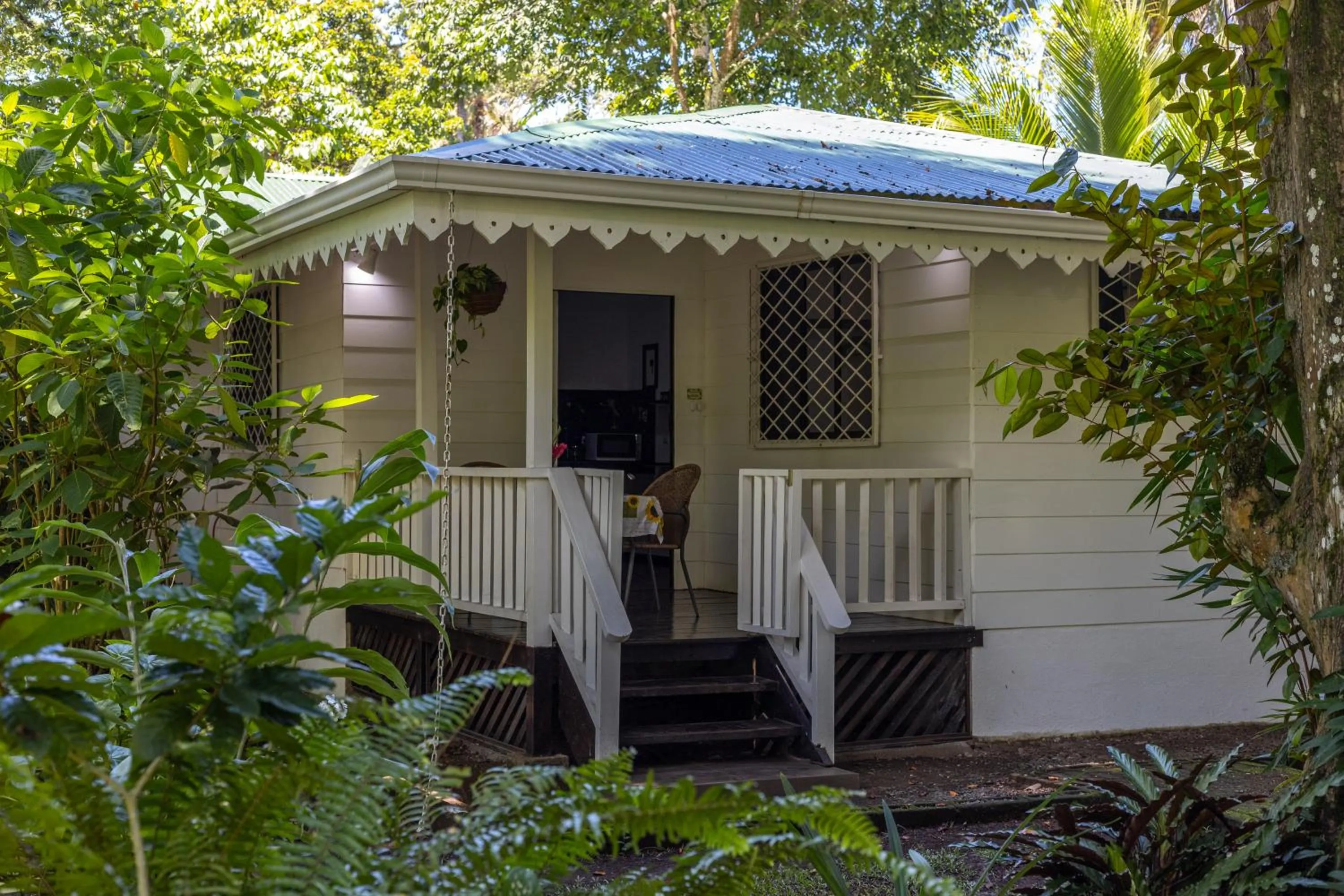 One-Bedroom Apartment with Terrace - single occupancy in Playa Grande Lodge & Tree House
