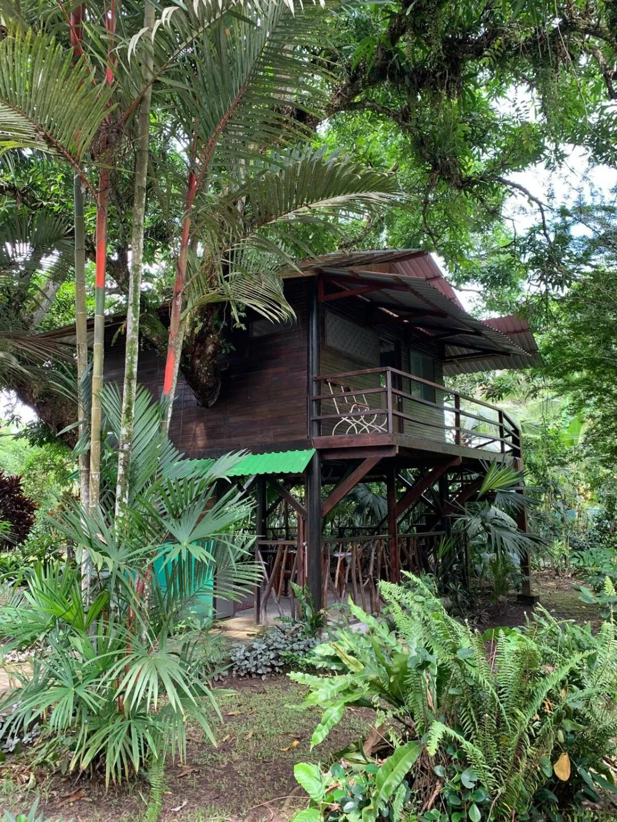 Playa Grande Lodge & Tree House