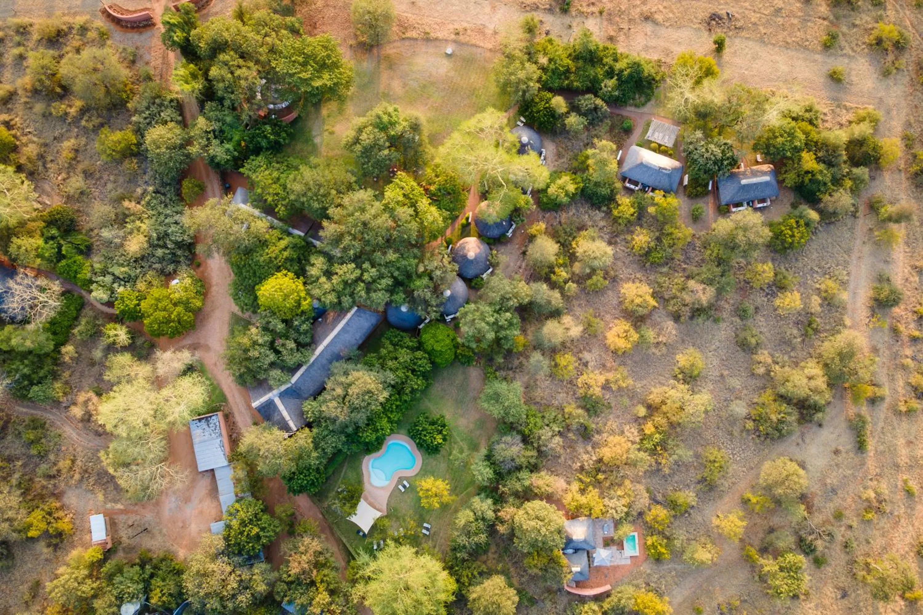 Day in Mohlabetsi Safari Lodge