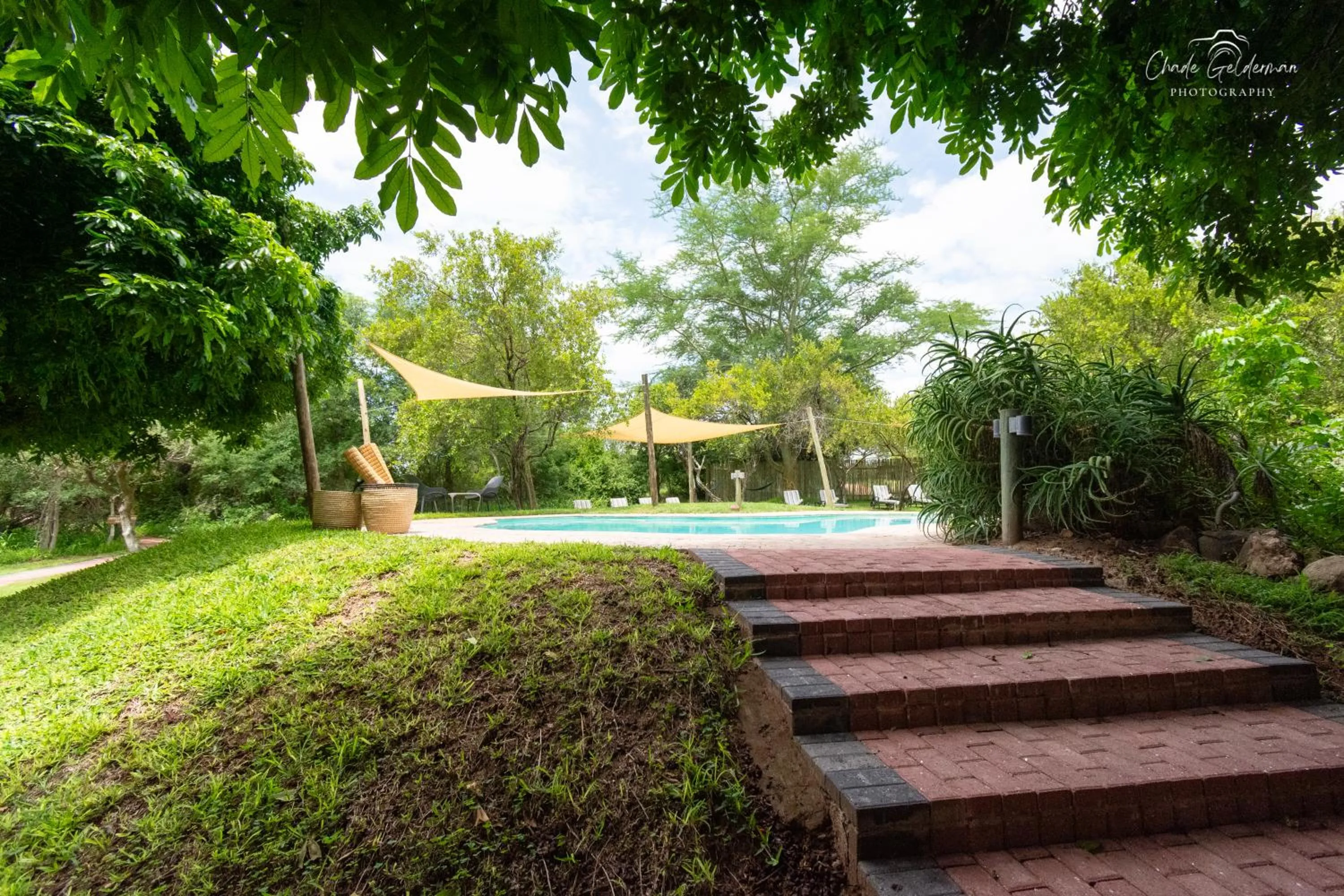 Garden view in Mohlabetsi Safari Lodge