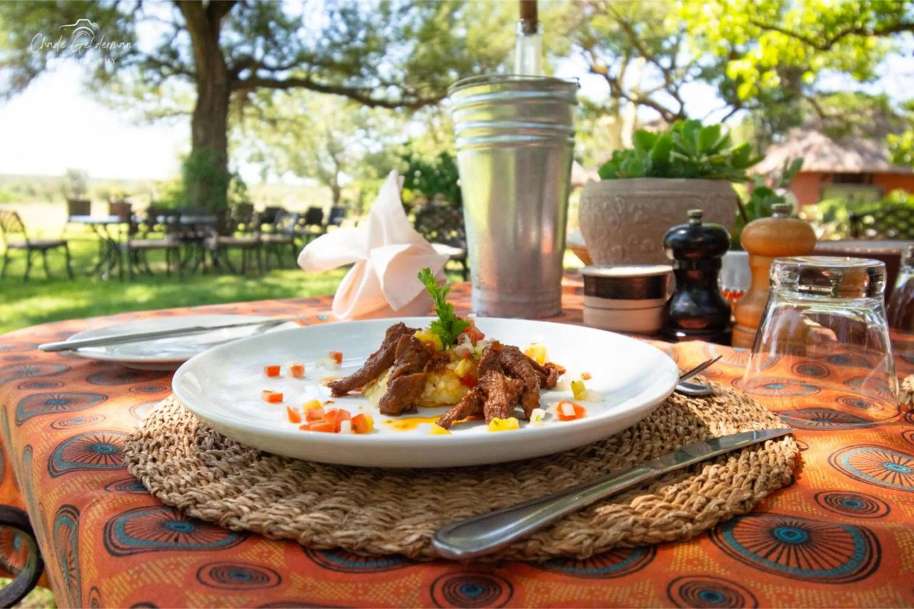 Garden in Mohlabetsi Safari Lodge