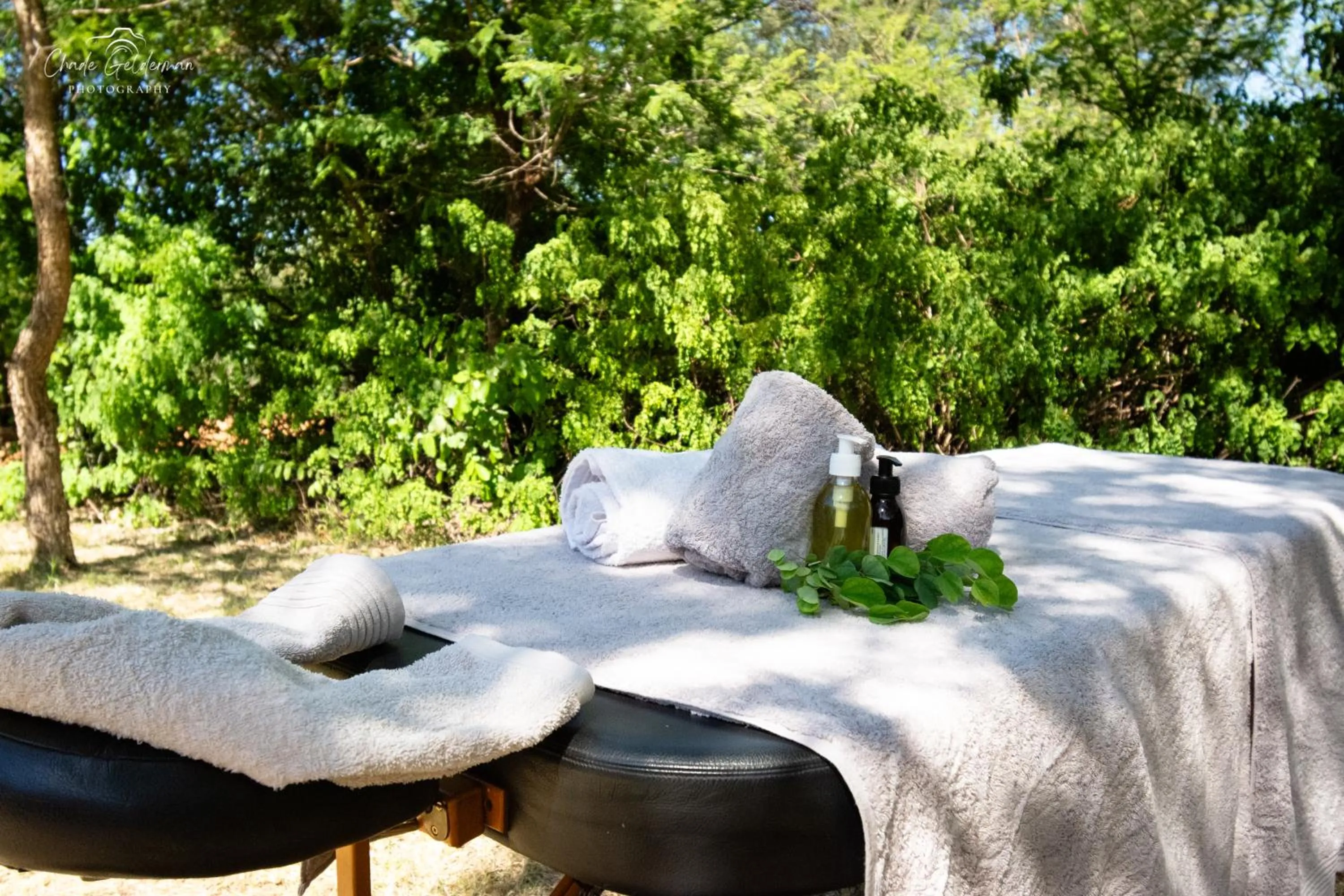 Day in Mohlabetsi Safari Lodge