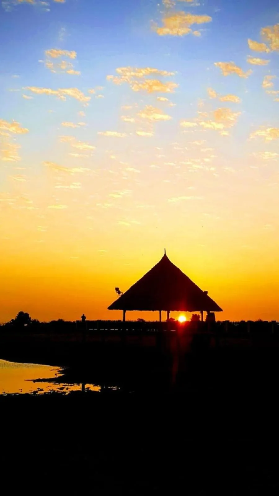 Natural landscape in Simba House