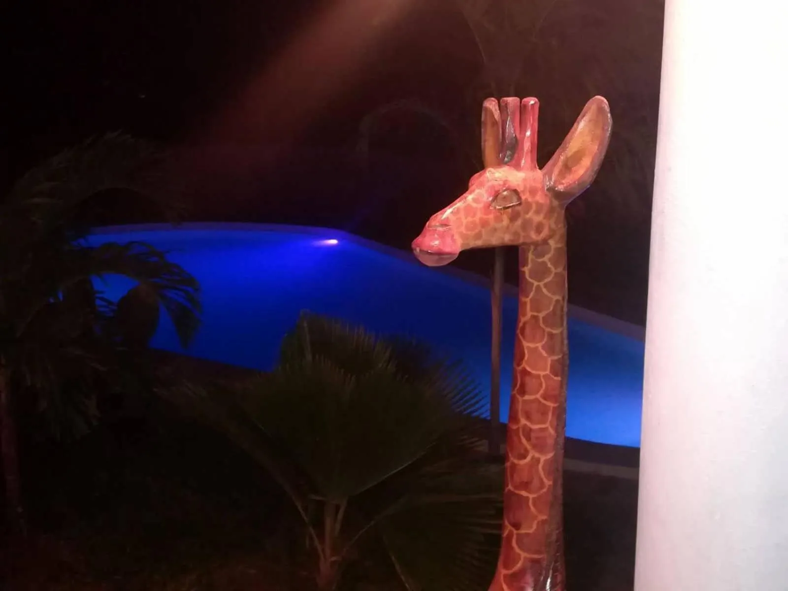 Decorative detail in Simba House