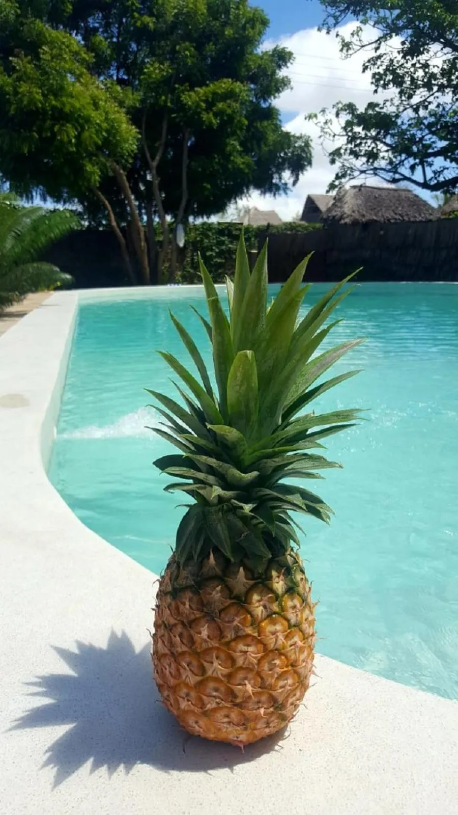 Pool view in Simba House