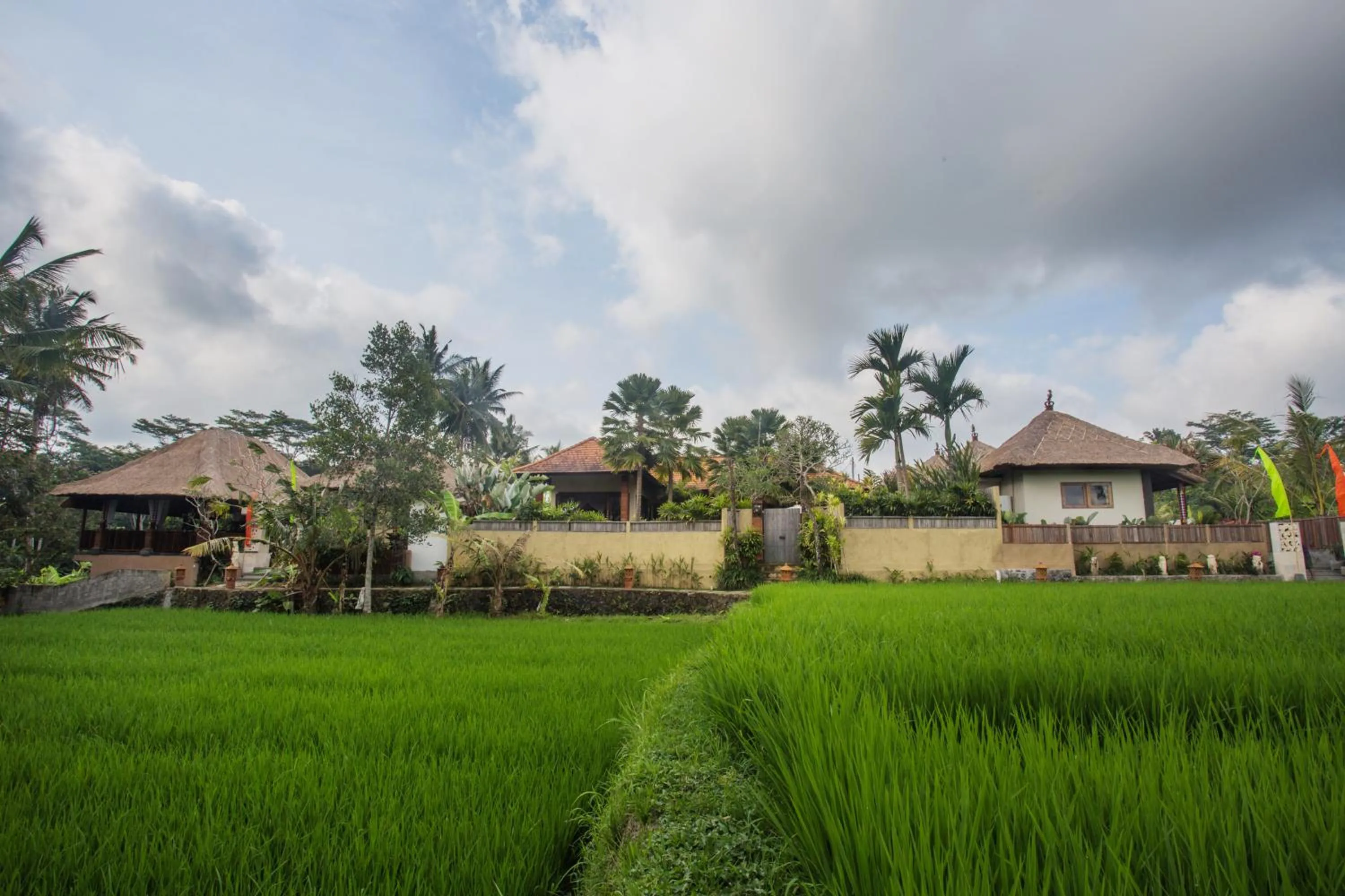 Neighbourhood in Ubud Luwih Nature Retreat
