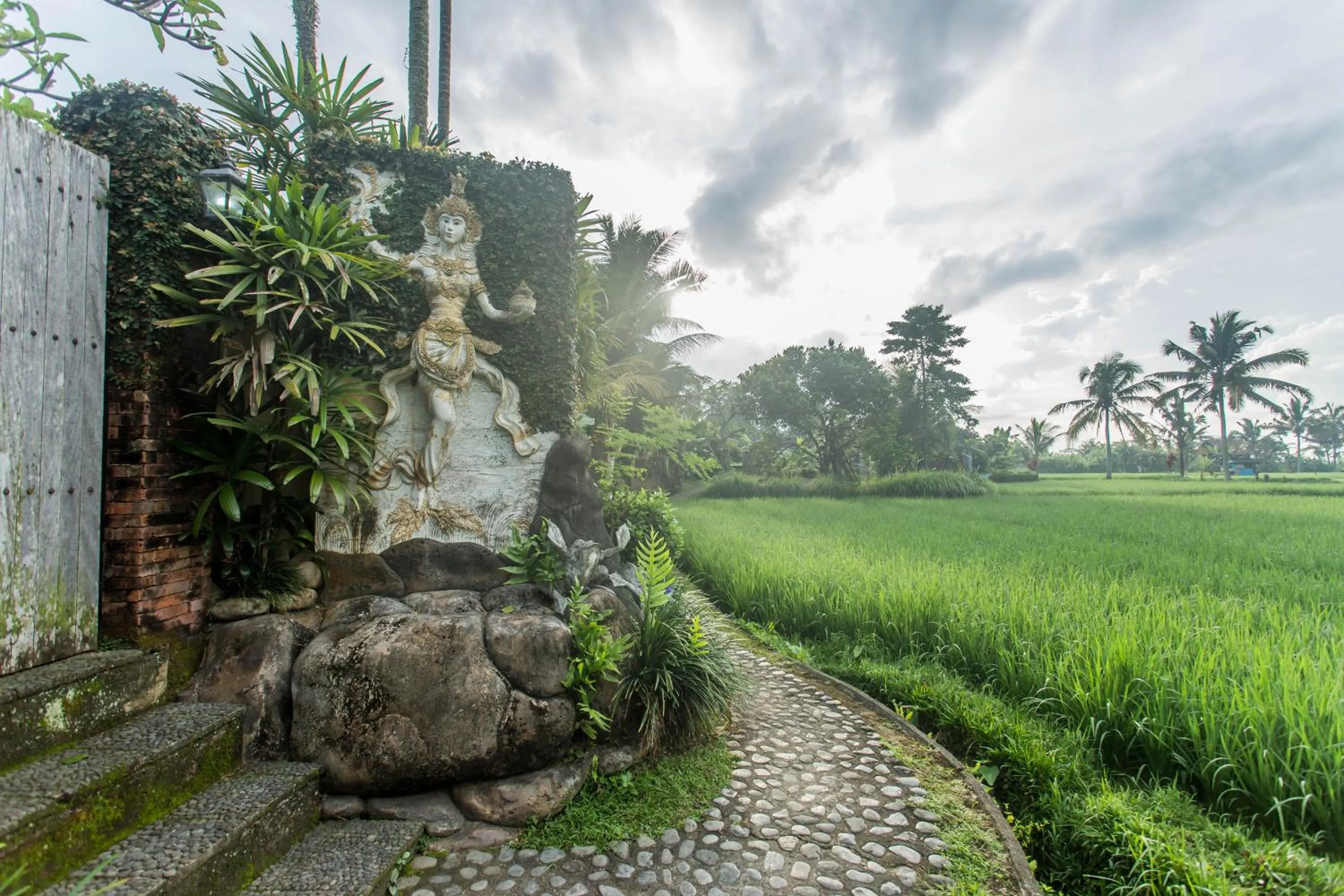 Natural landscape in Ubud Luwih Nature Retreat
