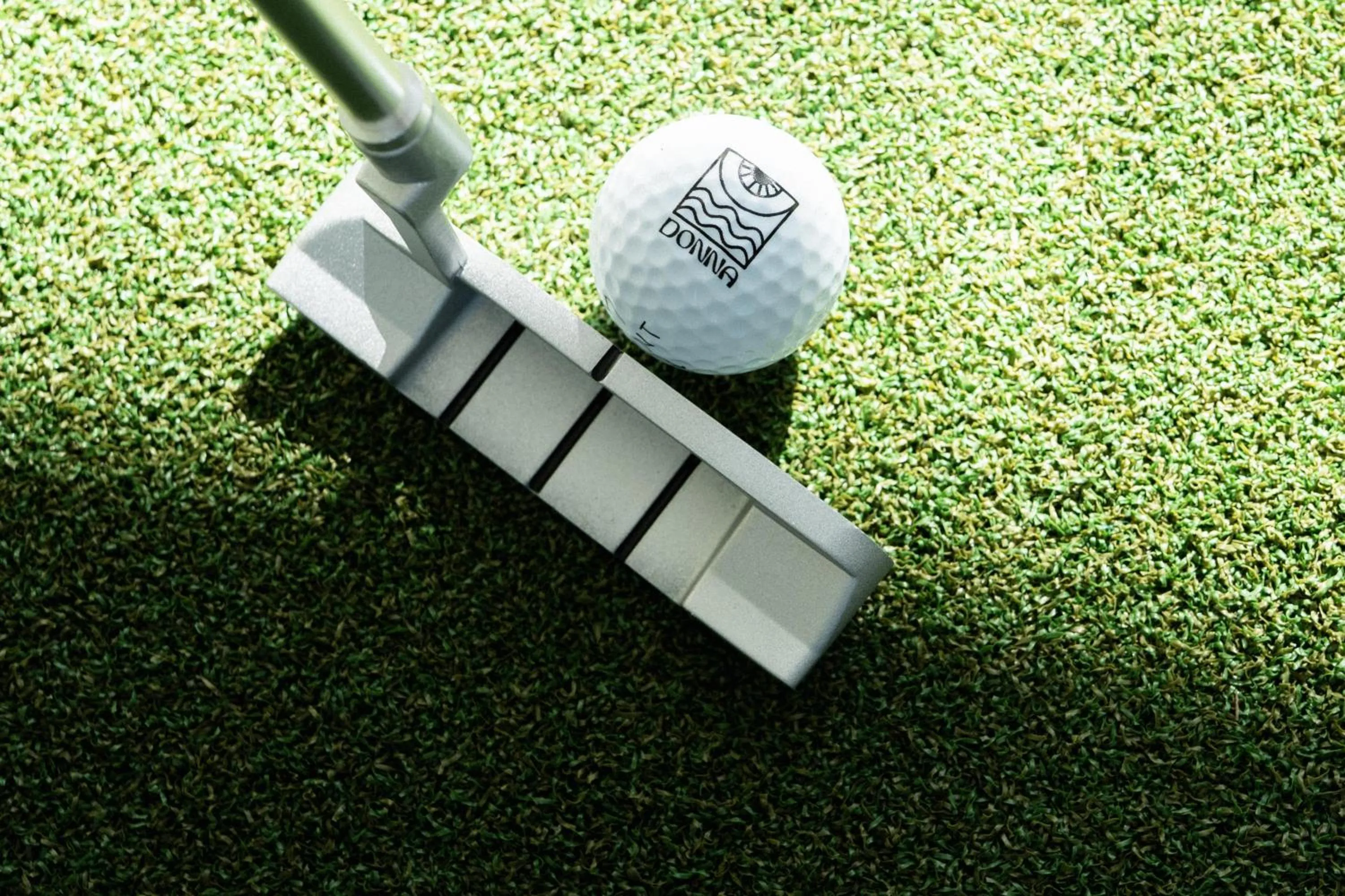 Activities in The Donna Portals