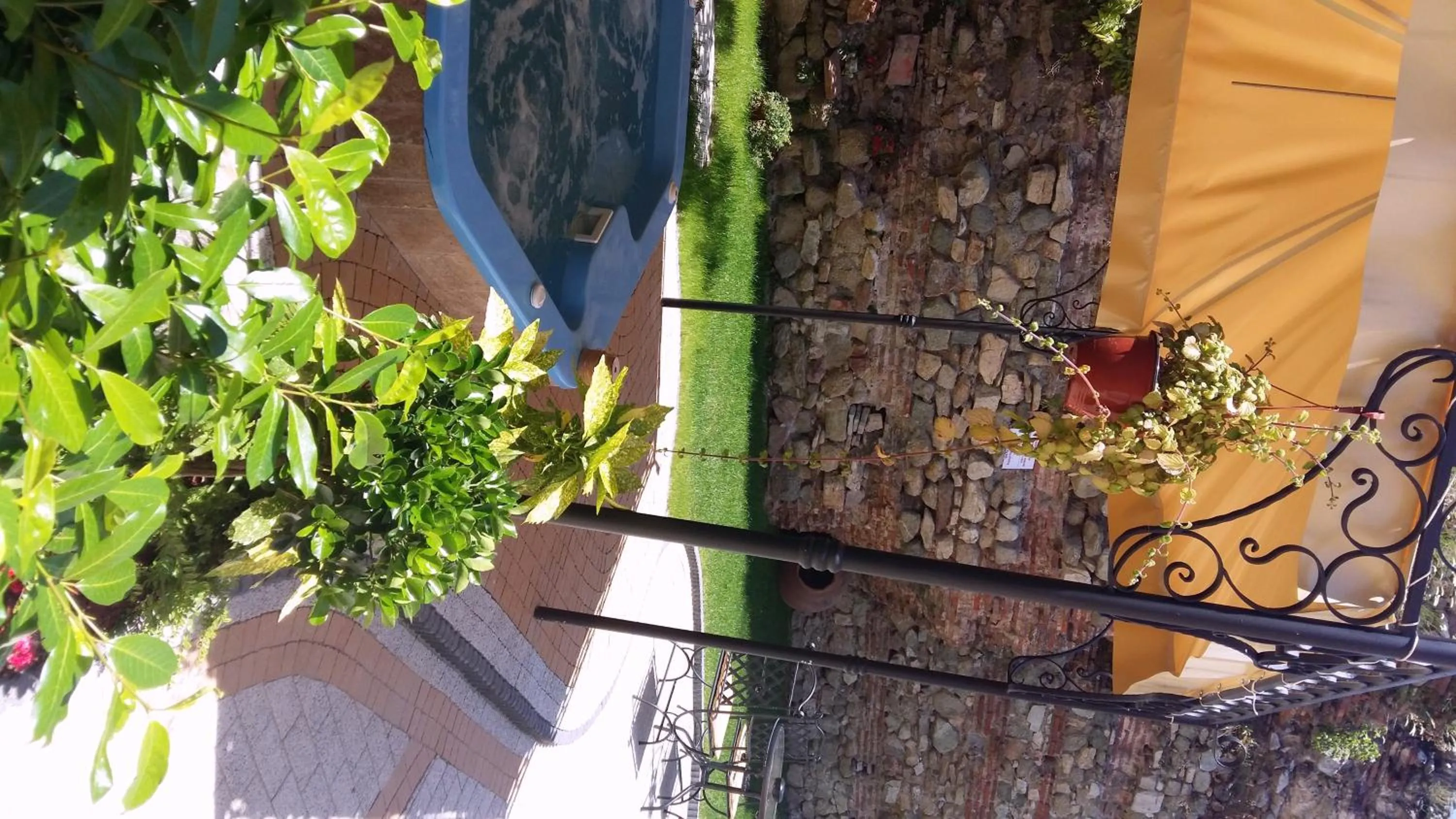 Garden in Villa Paris