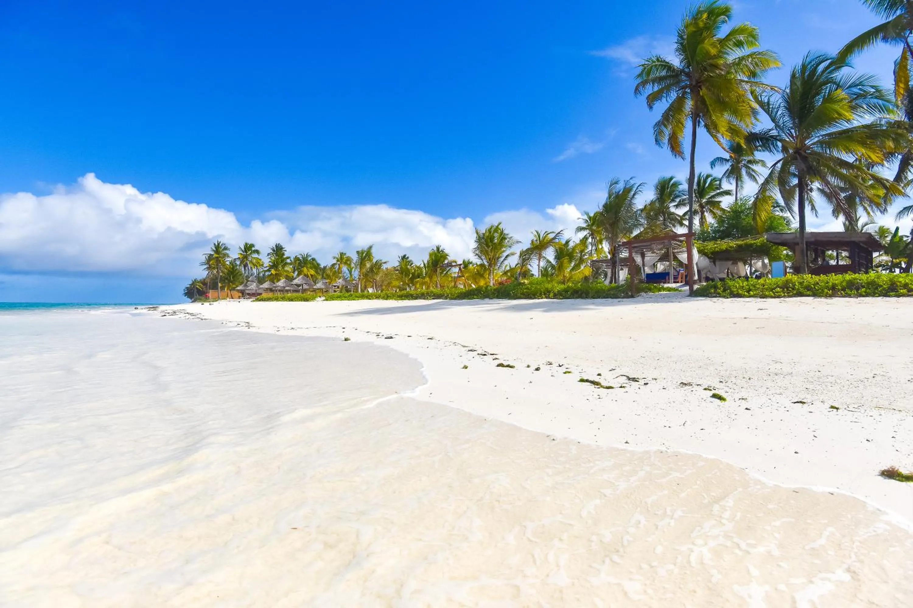 Beach in The Sands Beach Resort