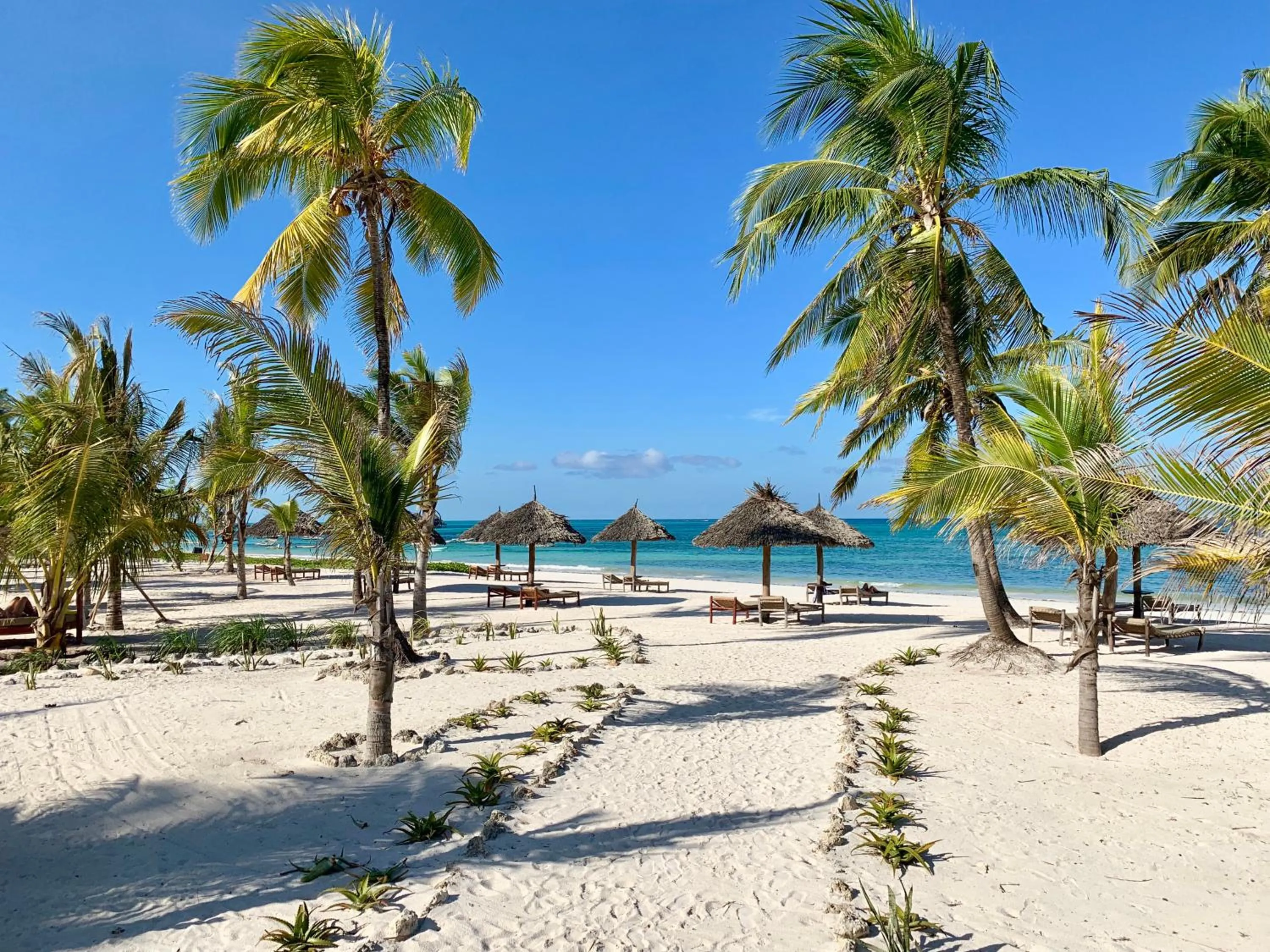 Beach in The Sands Beach Resort