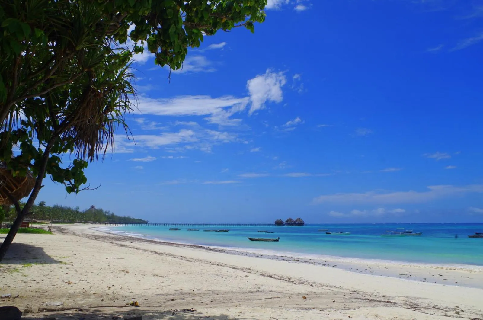 Beach in The Sands Beach Resort