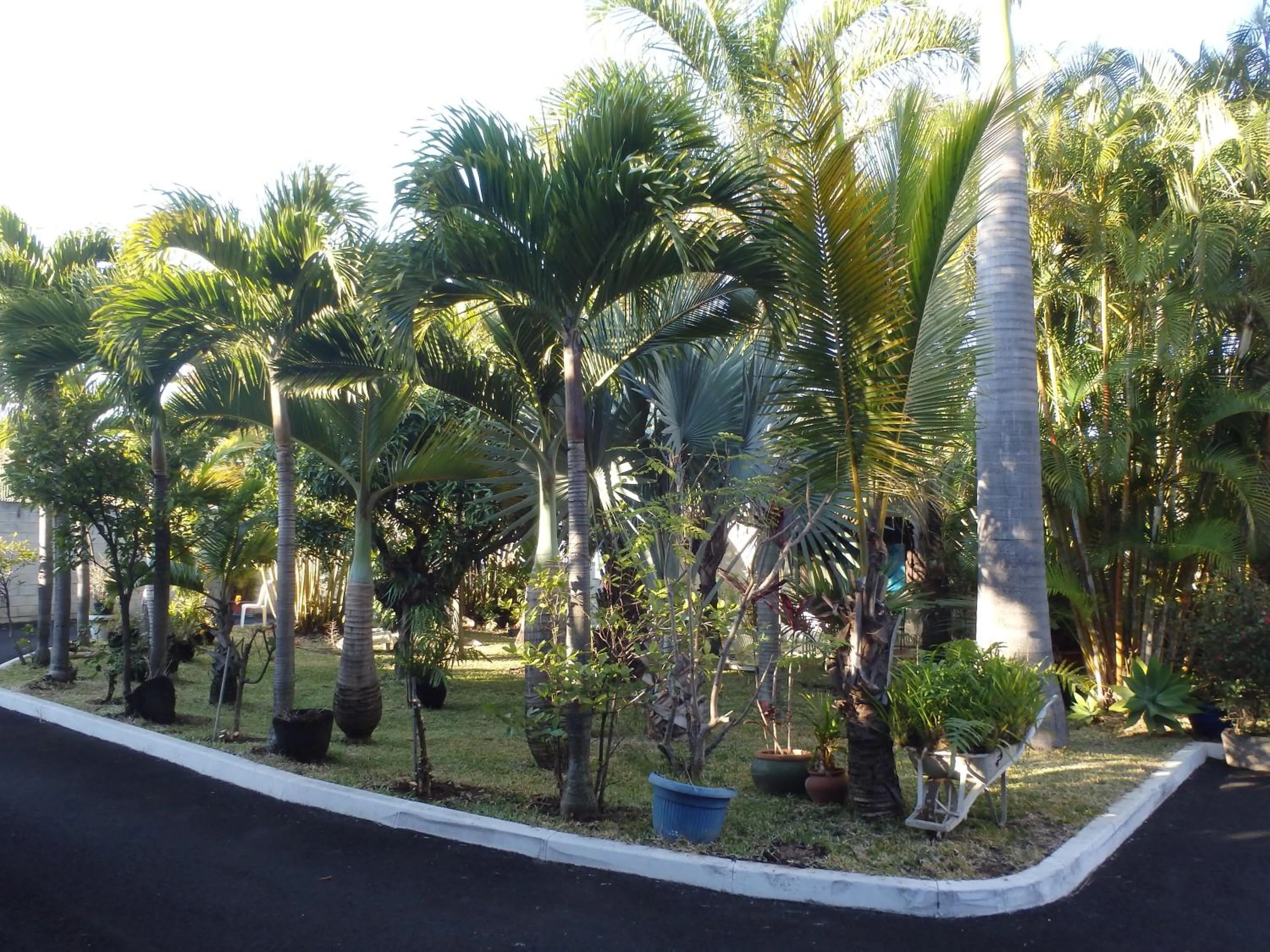 Garden in Résidence Le Phoenix