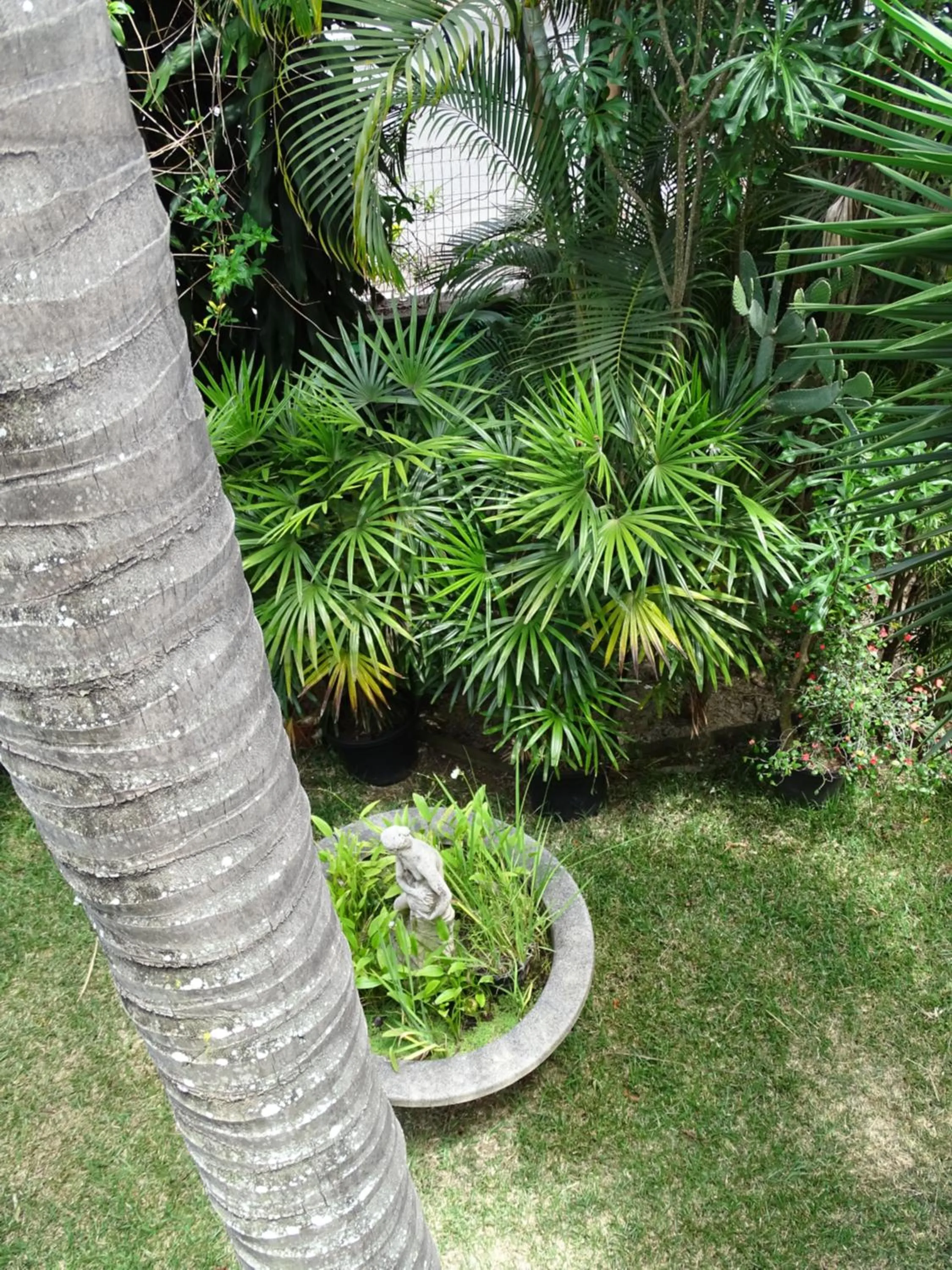 Résidence Le Phoenix