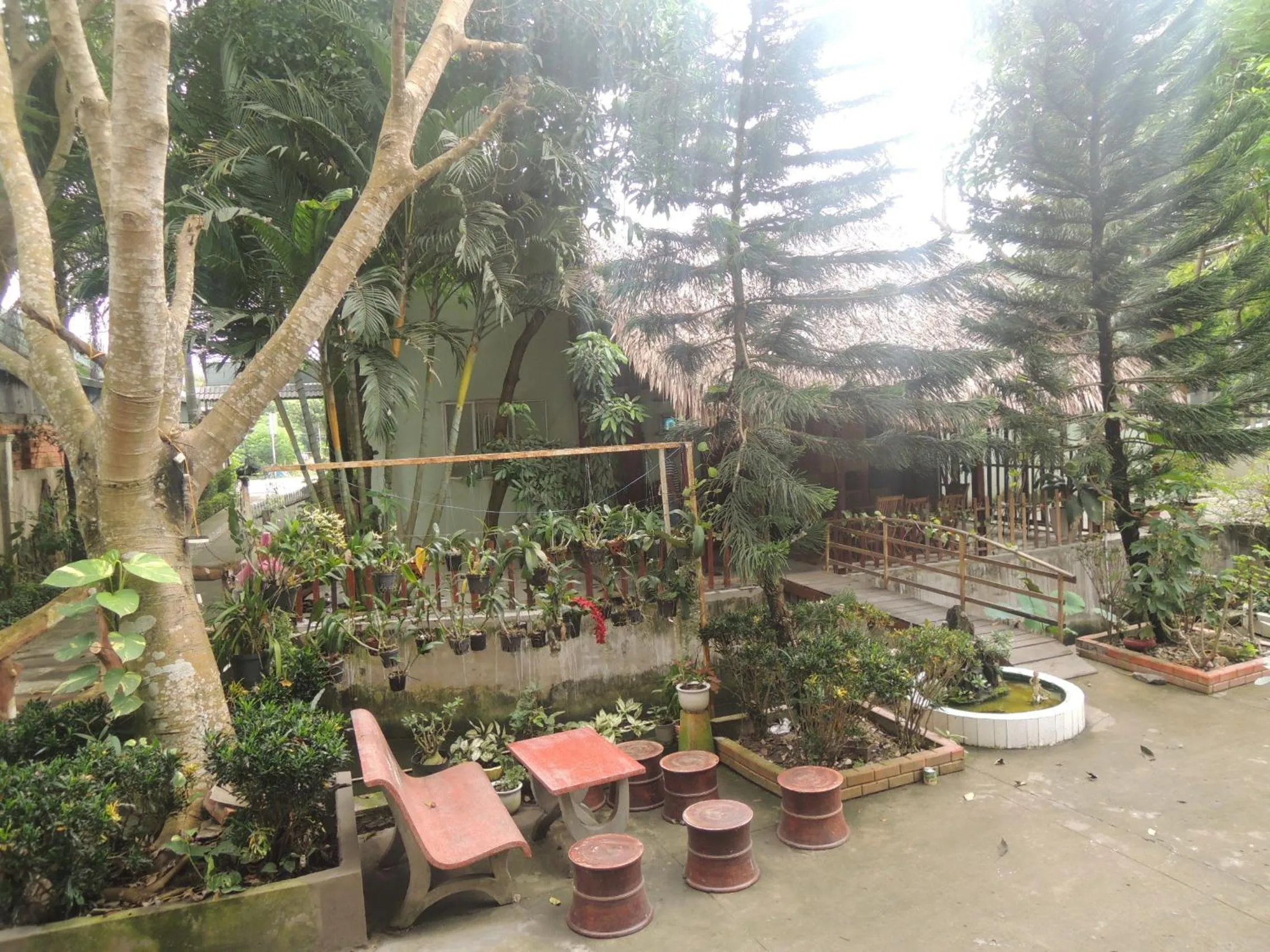 Garden in Thanh Cong Hotel