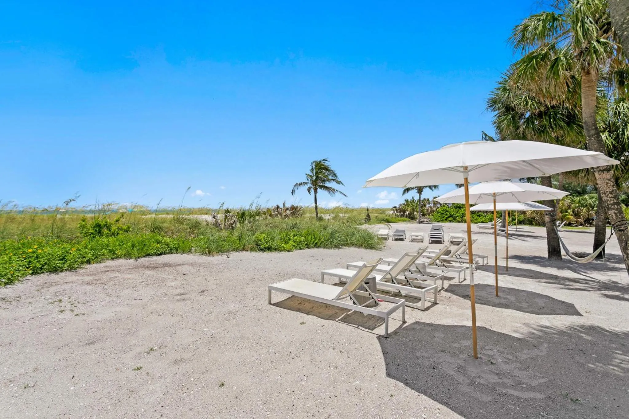 The Molloy - A Boutique Beach Resort